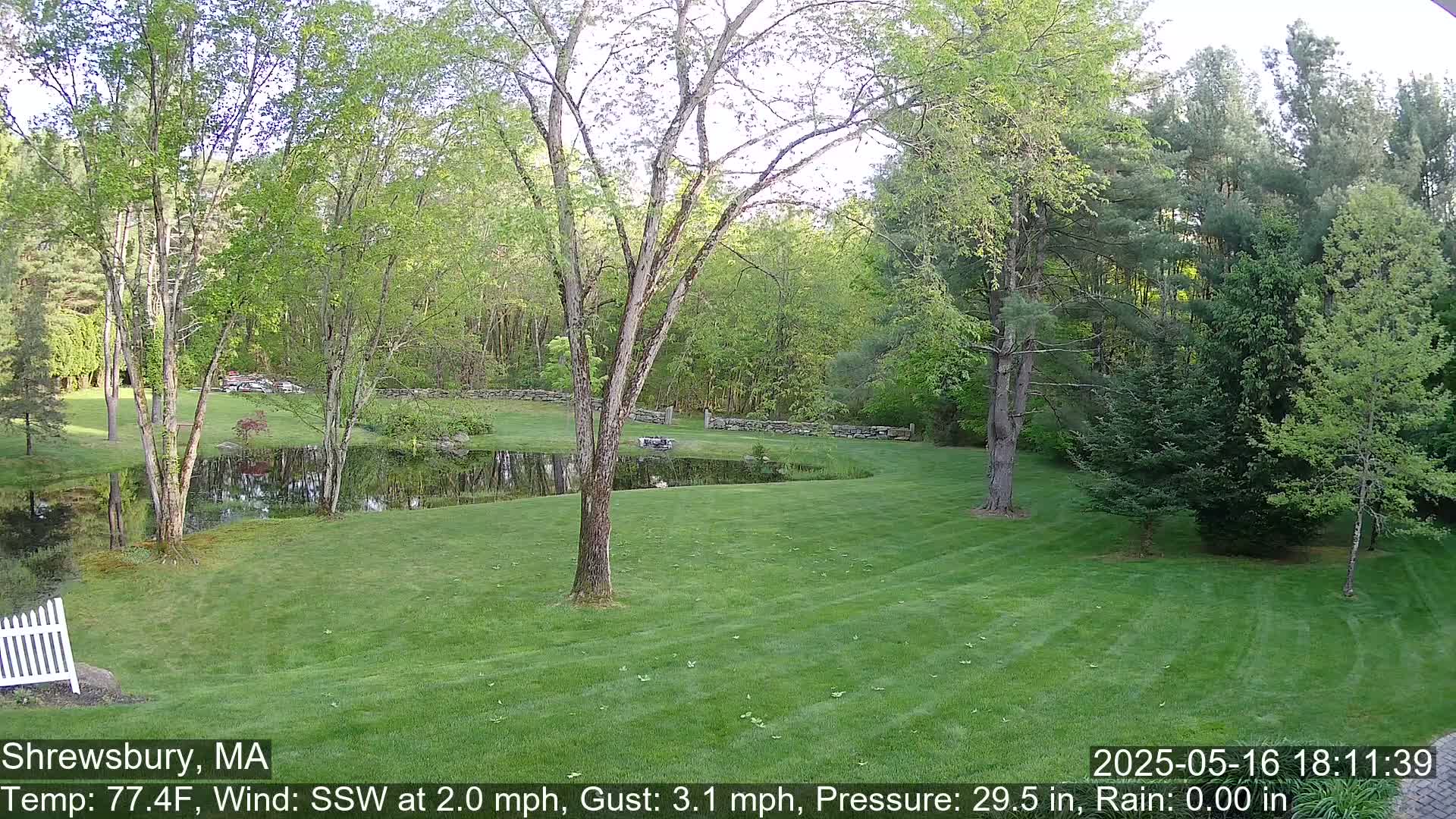 Scenic Pond and Trees Live Cam - Shrewsbury, Massachusetts , USA