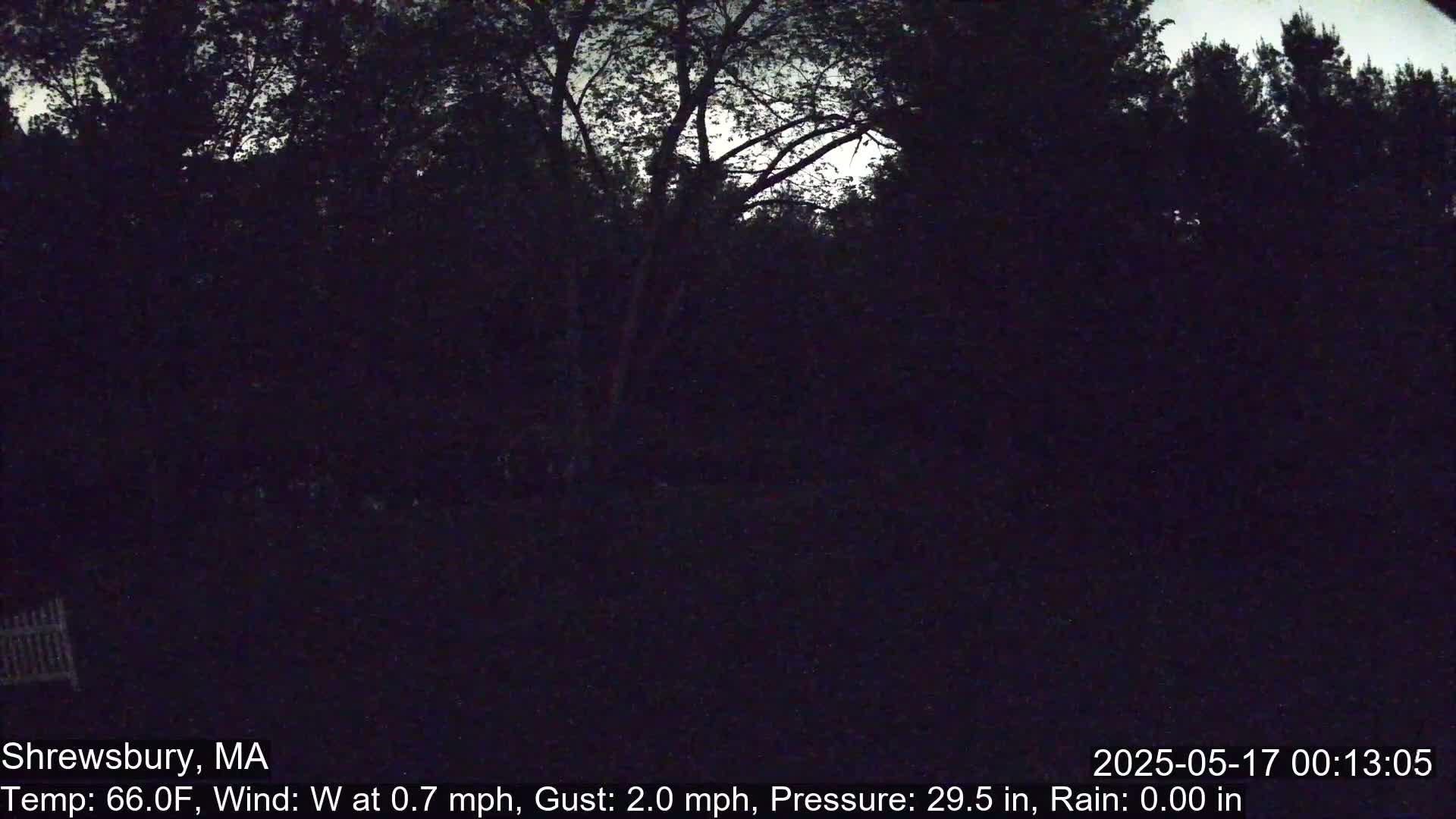 Scenic Pond and Trees Live Cam - Shrewsbury, Massachusetts , USA