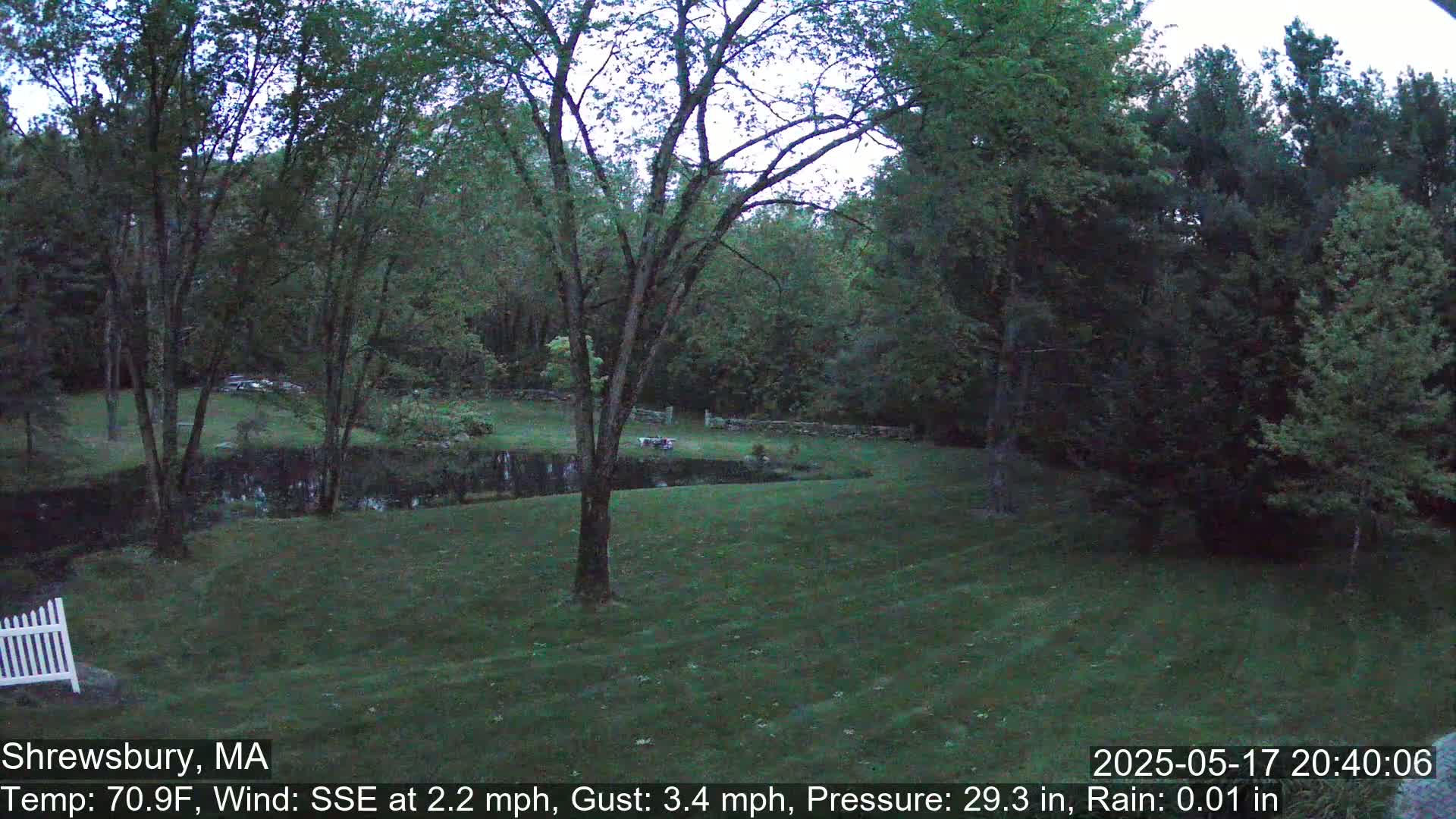 Scenic Pond and Trees Live Cam - Shrewsbury, Massachusetts , USA
