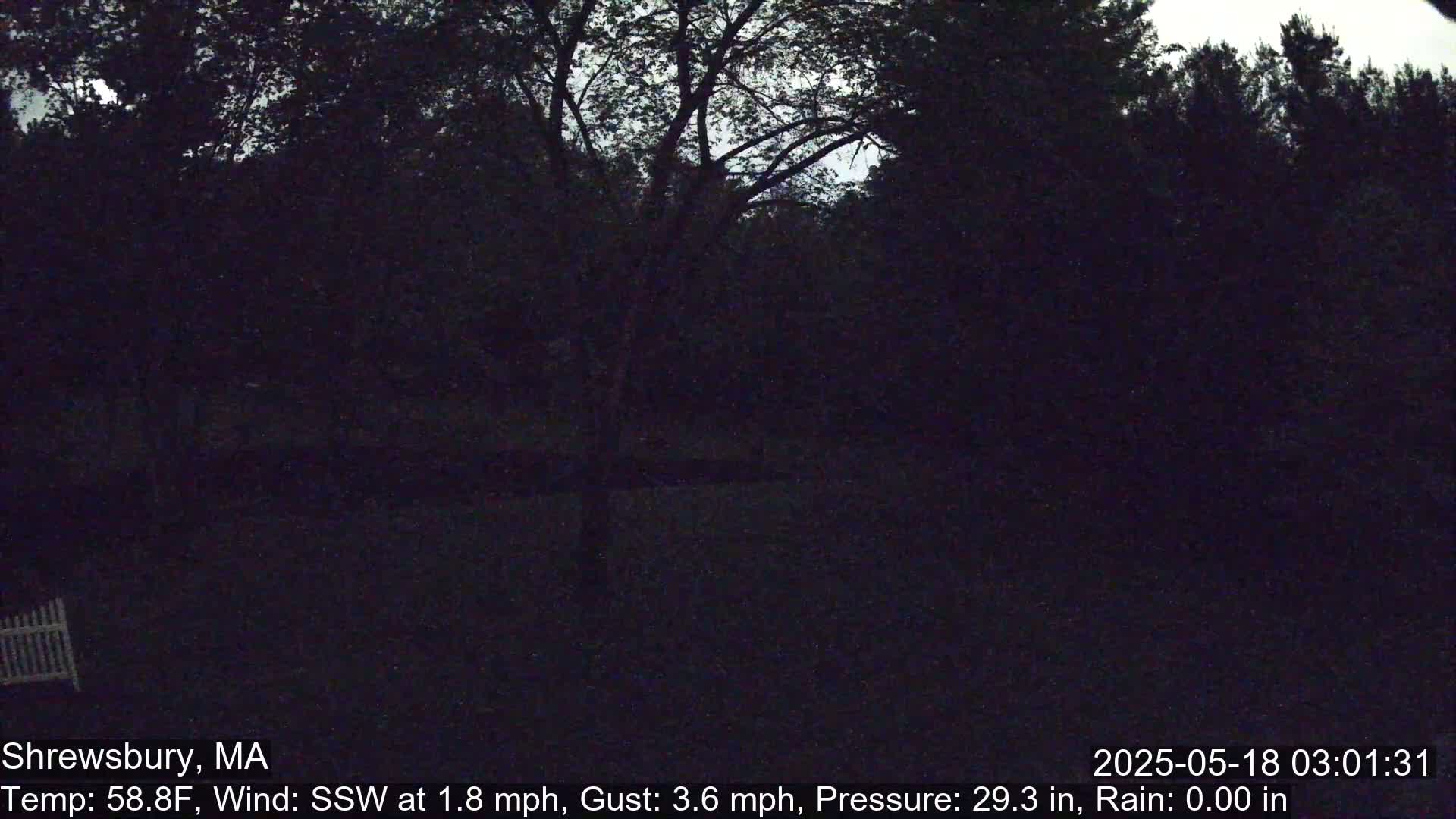 A dark, nighttime view of trees and a yard, with a slight wind from the south-southwest.