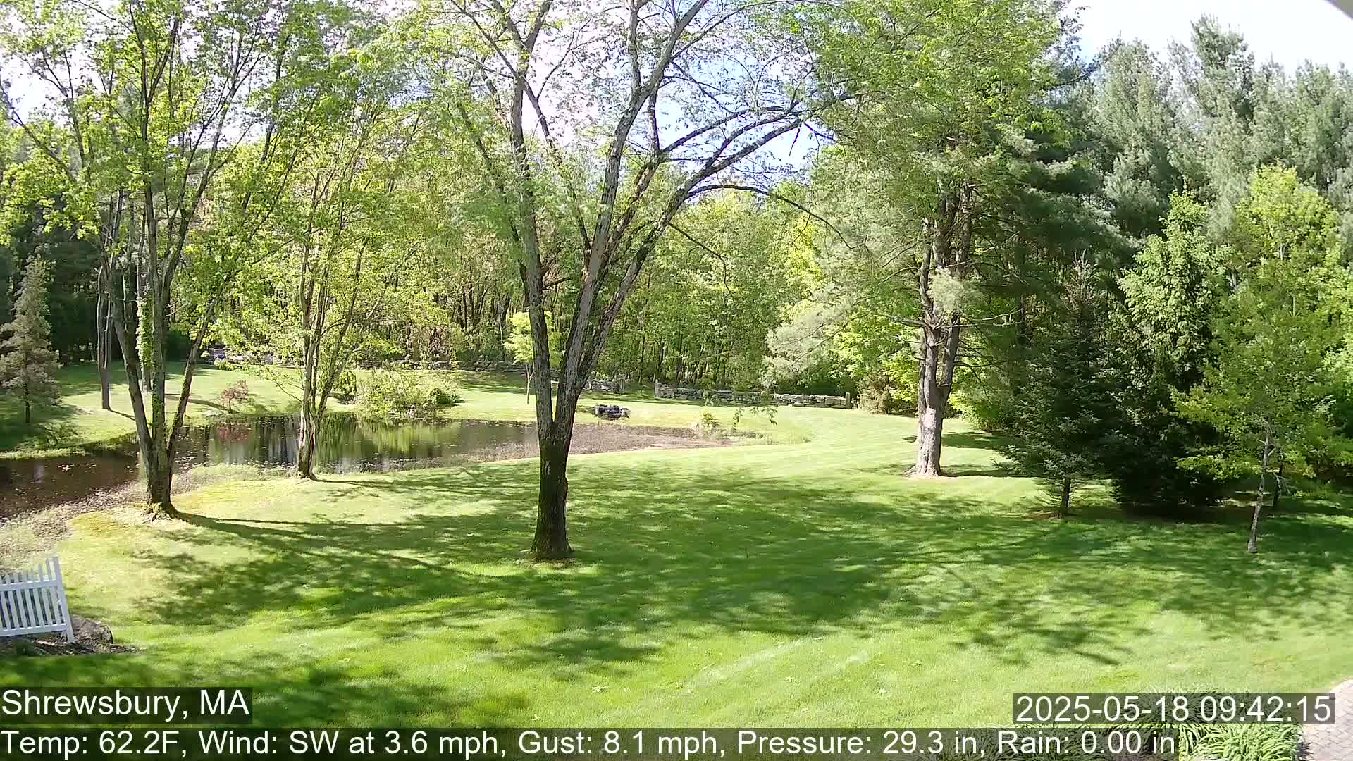 A sunny day reveals a green lawn, a calm pond, and lush green trees in a peaceful landscape.
