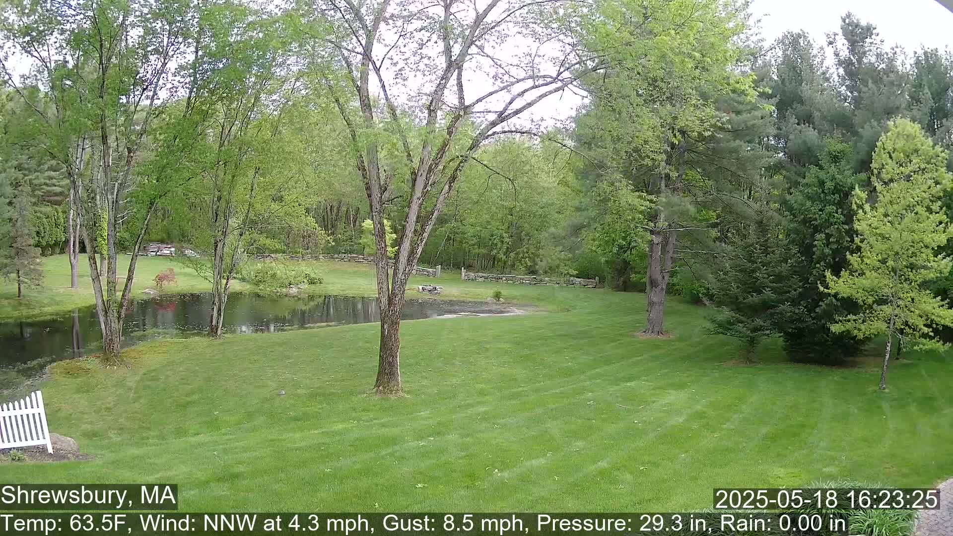 Scenic Pond and Trees Live Cam - Shrewsbury, Massachusetts , USA
