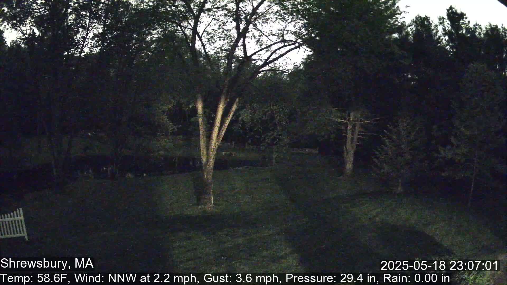 Scenic Pond and Trees Live Cam - Shrewsbury, Massachusetts , USA