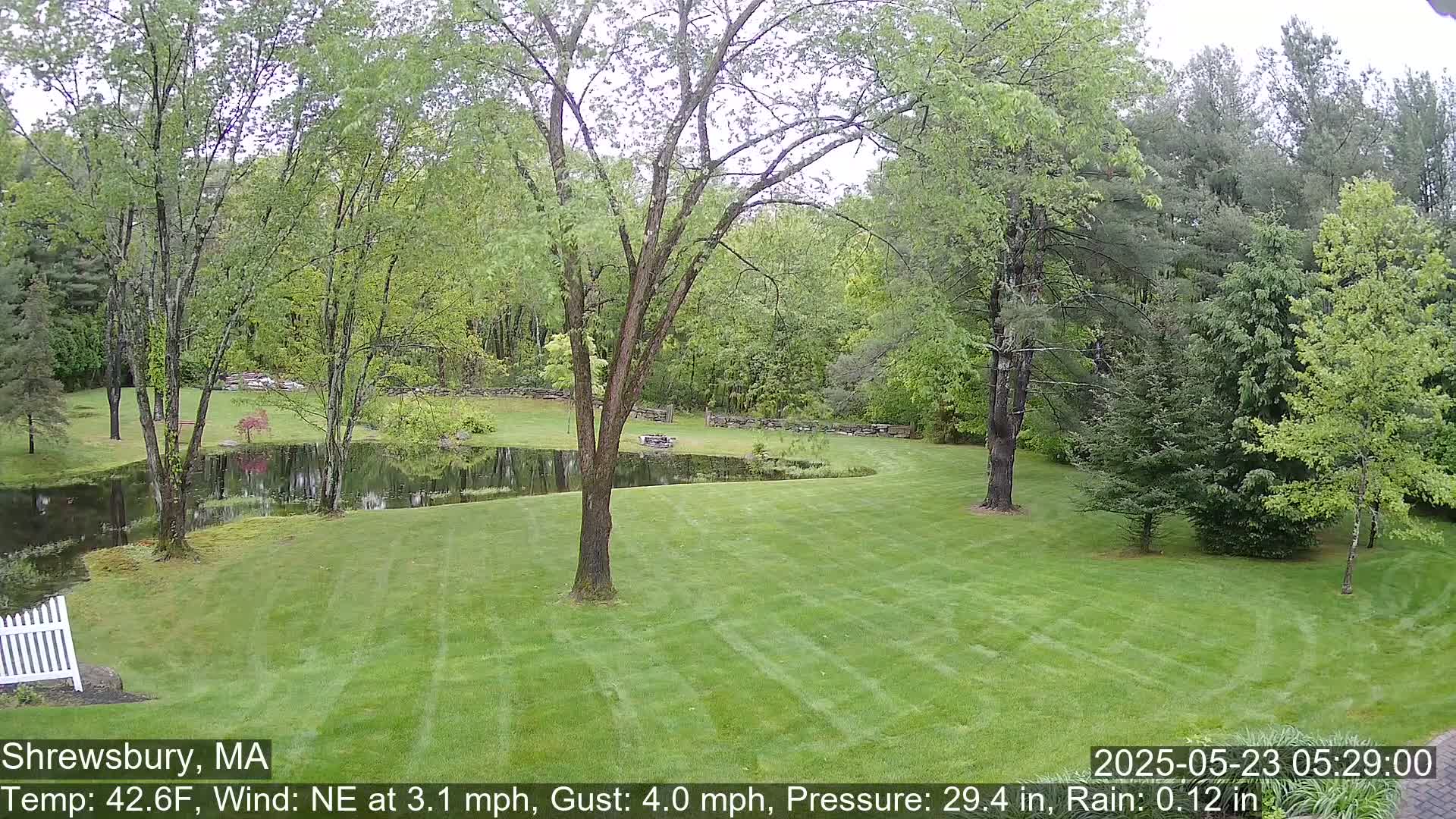 A green lawn and pond are surrounded by lush green trees in rainy weather.