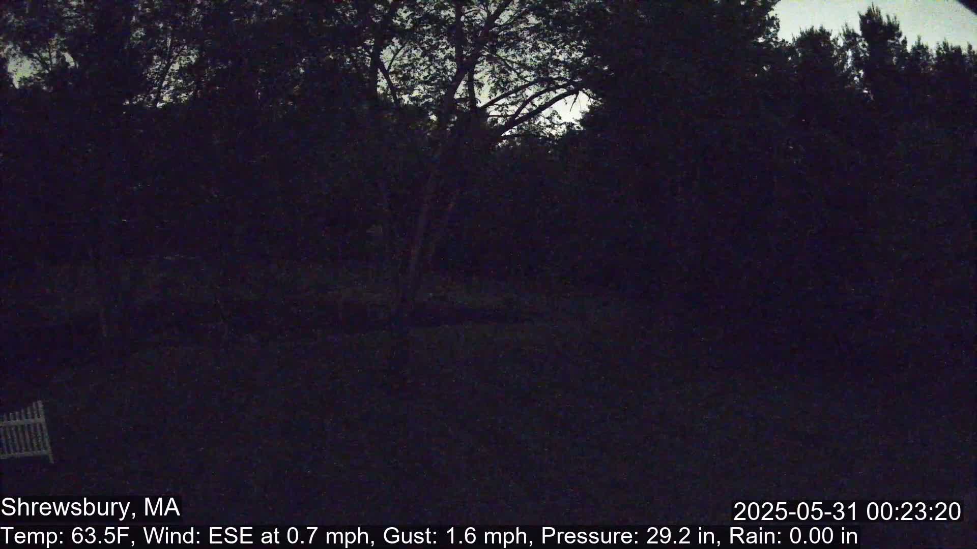 A nighttime outdoor scene shows dark trees and a grassy area under a mostly clear, twilight sky.