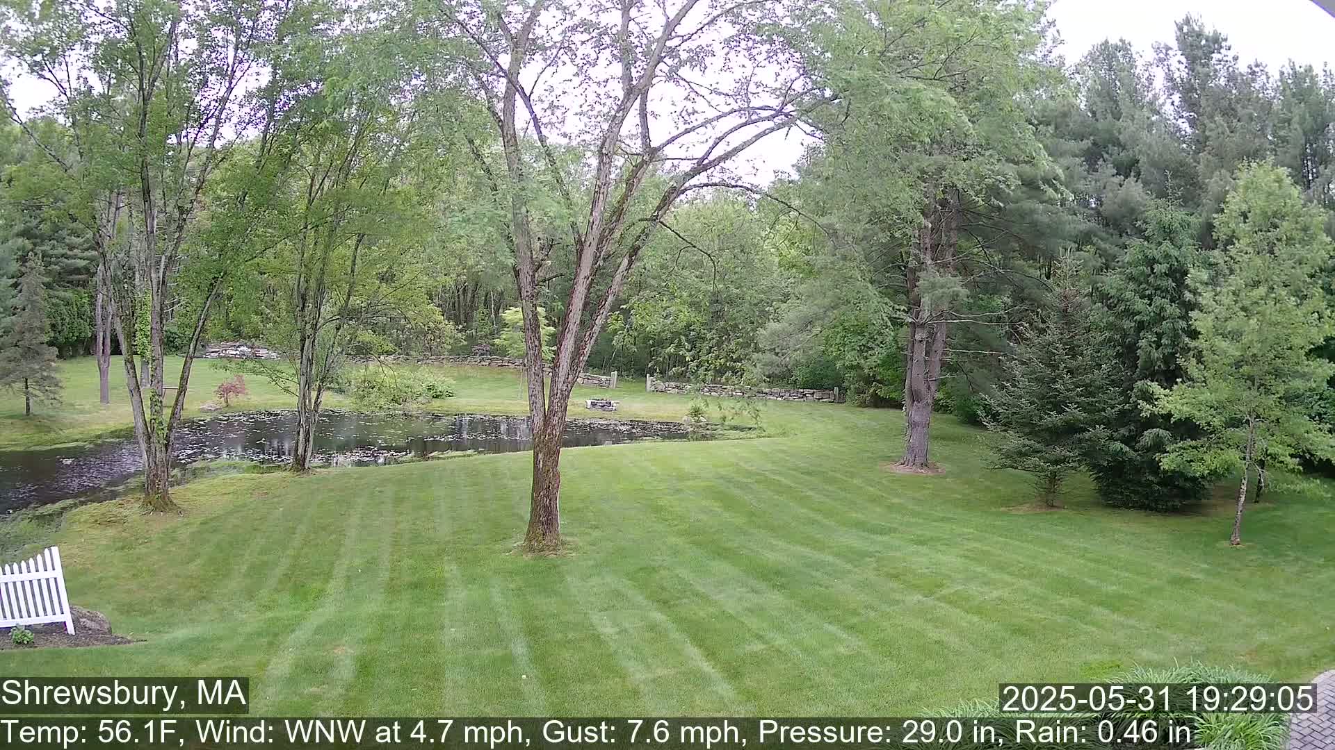 Scenic Pond and Trees Live Cam - Shrewsbury, Massachusetts , USA