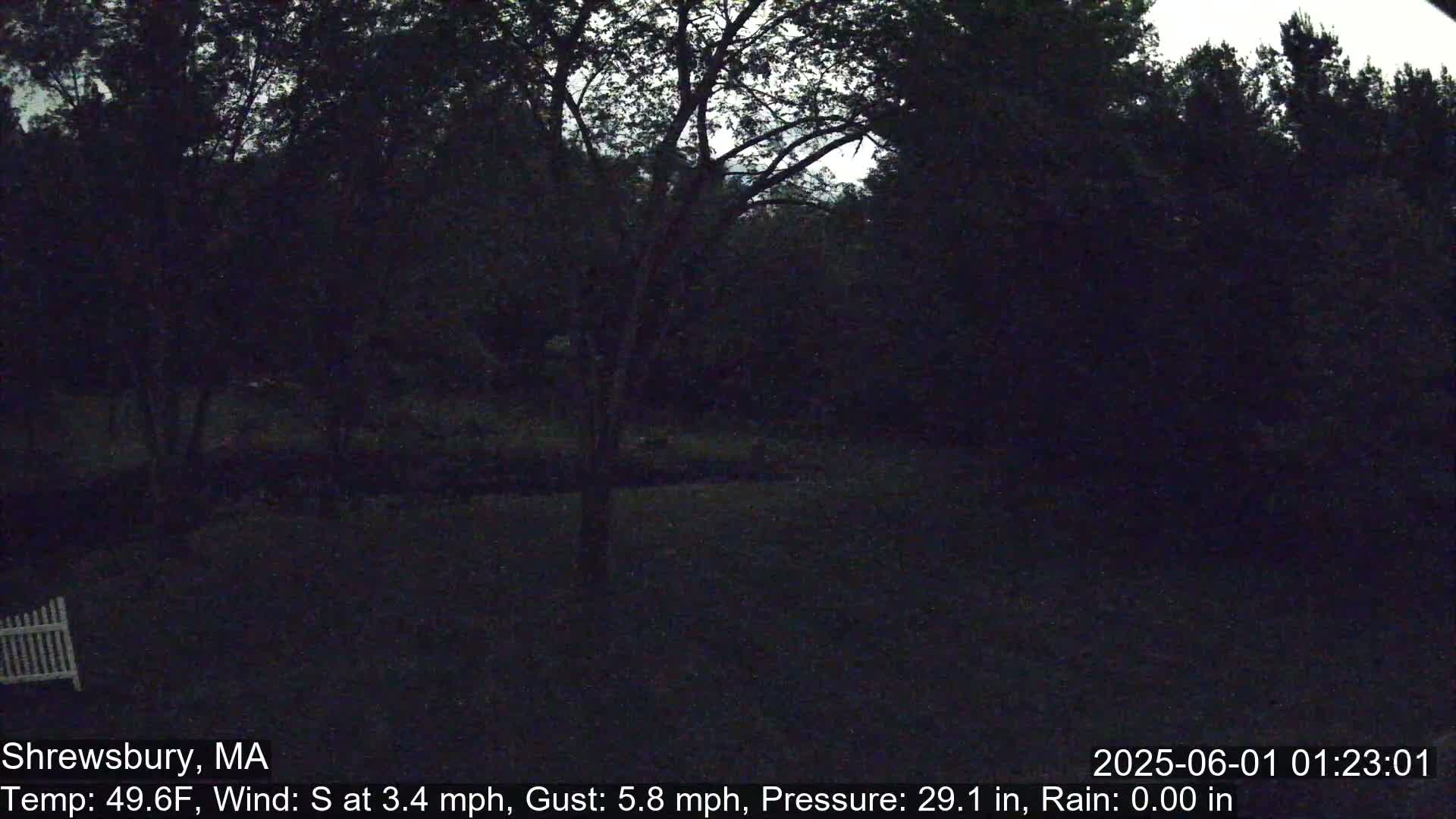 Scenic Pond and Trees Live Cam - Shrewsbury, Massachusetts , USA