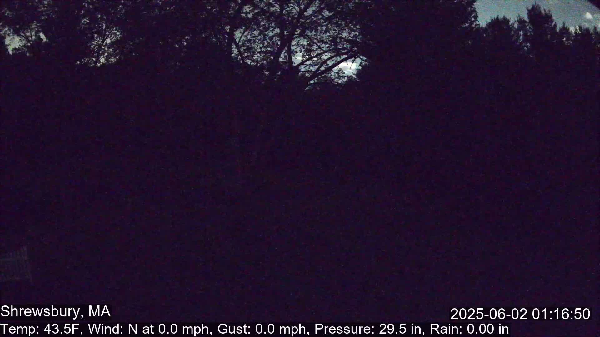 Scenic Pond and Trees Live Cam - Shrewsbury, Massachusetts , USA