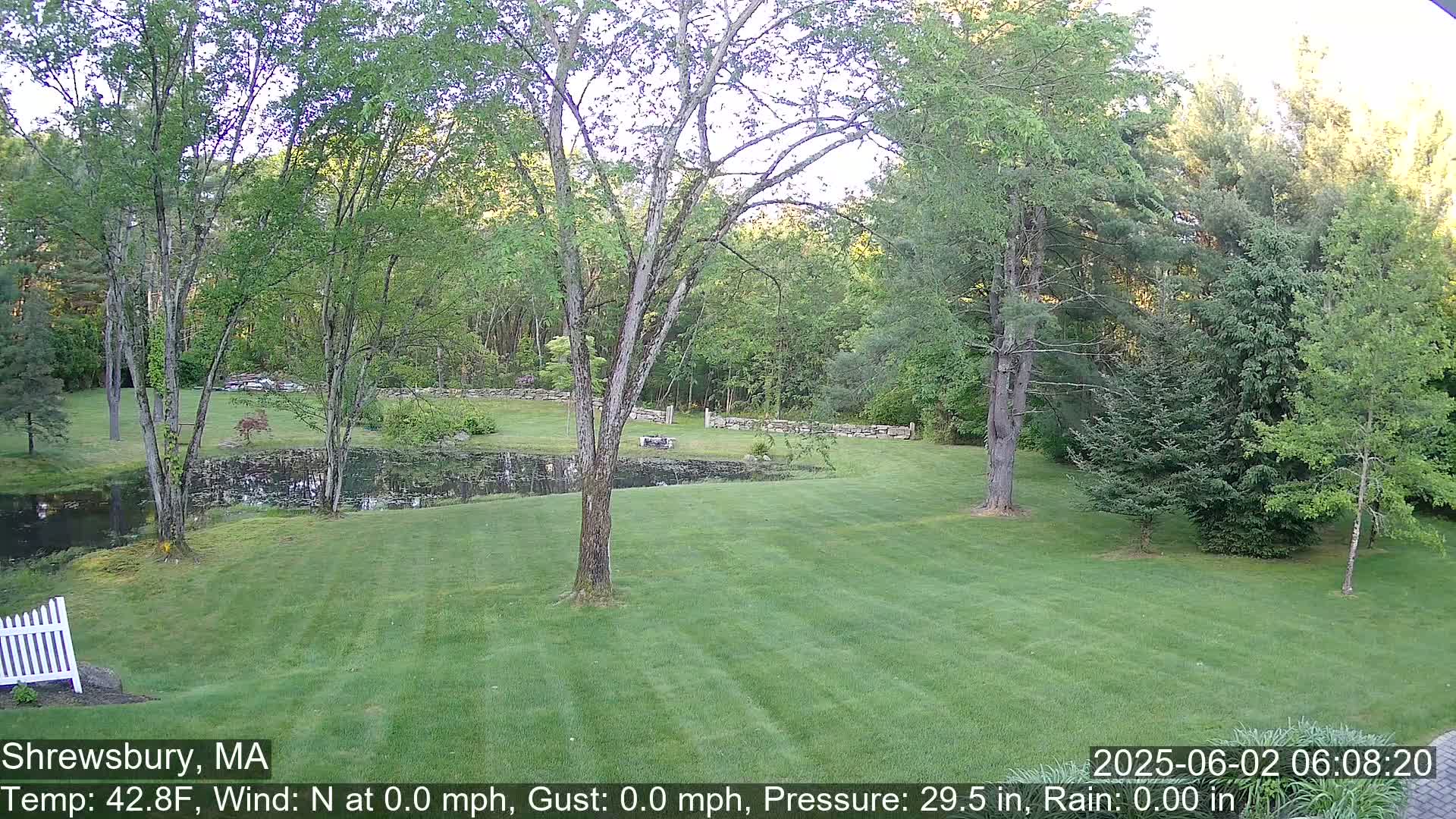 A calm, clear morning reveals a grassy lawn, a small pond, stone walls, and lush green trees.