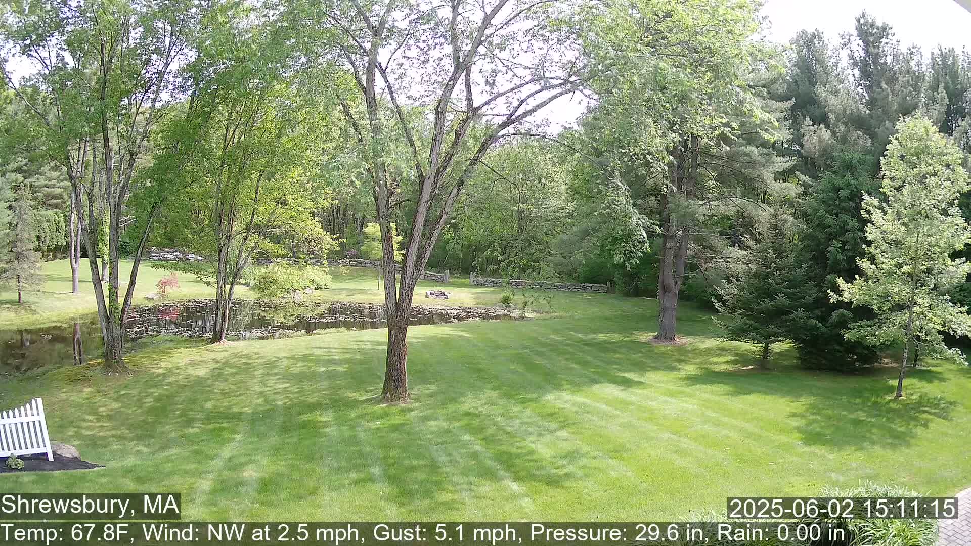 A grassy lawn with a pond, stone wall, and deciduous trees under a sunny sky.