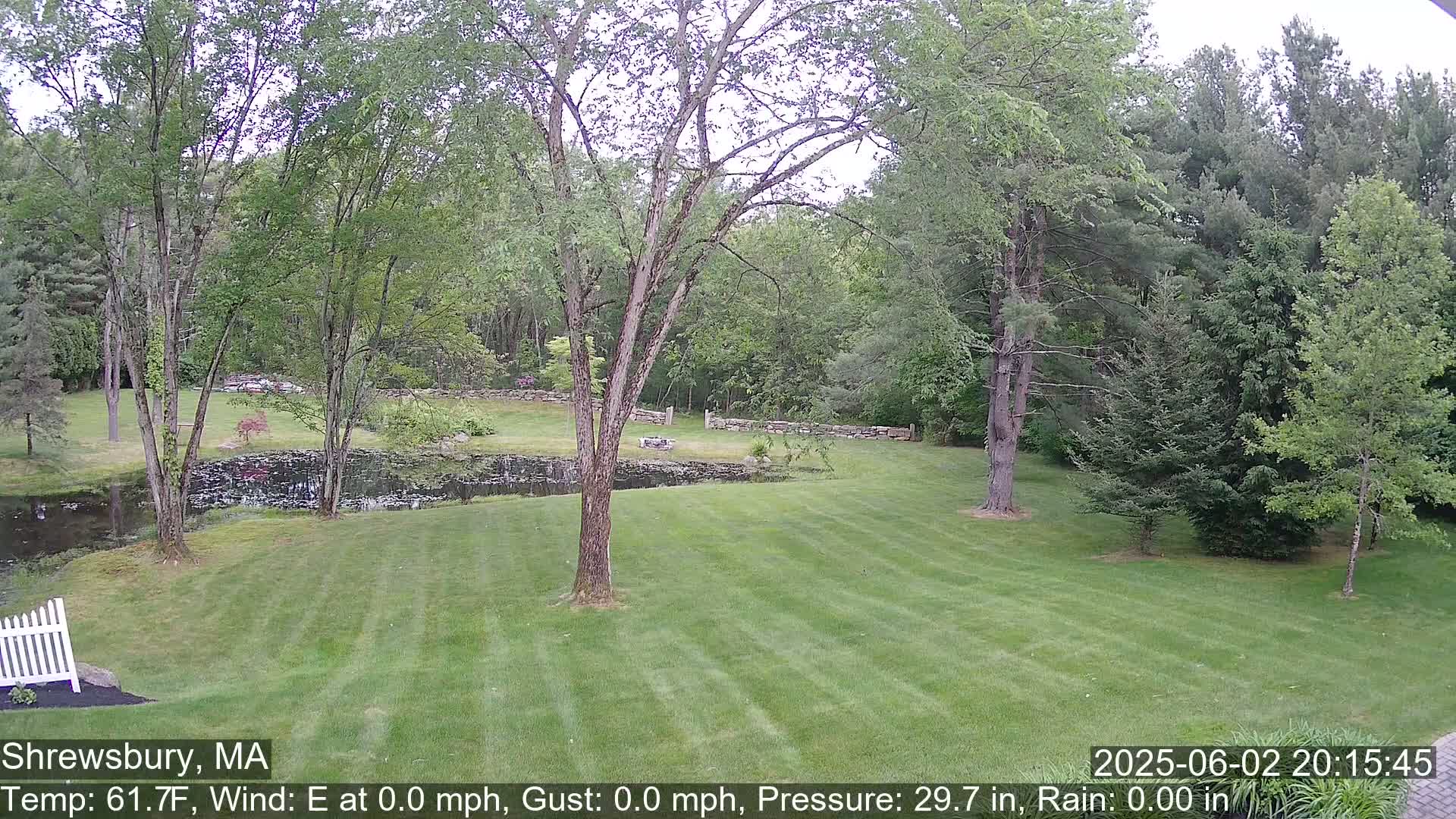 Scenic Pond and Trees Live Cam - Shrewsbury, Massachusetts , USA