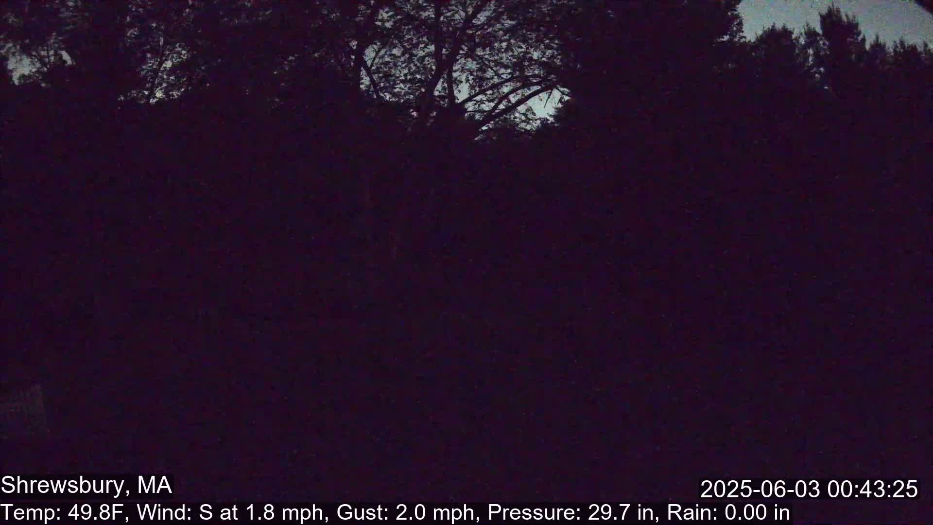 Scenic Pond and Trees Live Cam - Shrewsbury, Massachusetts , USA