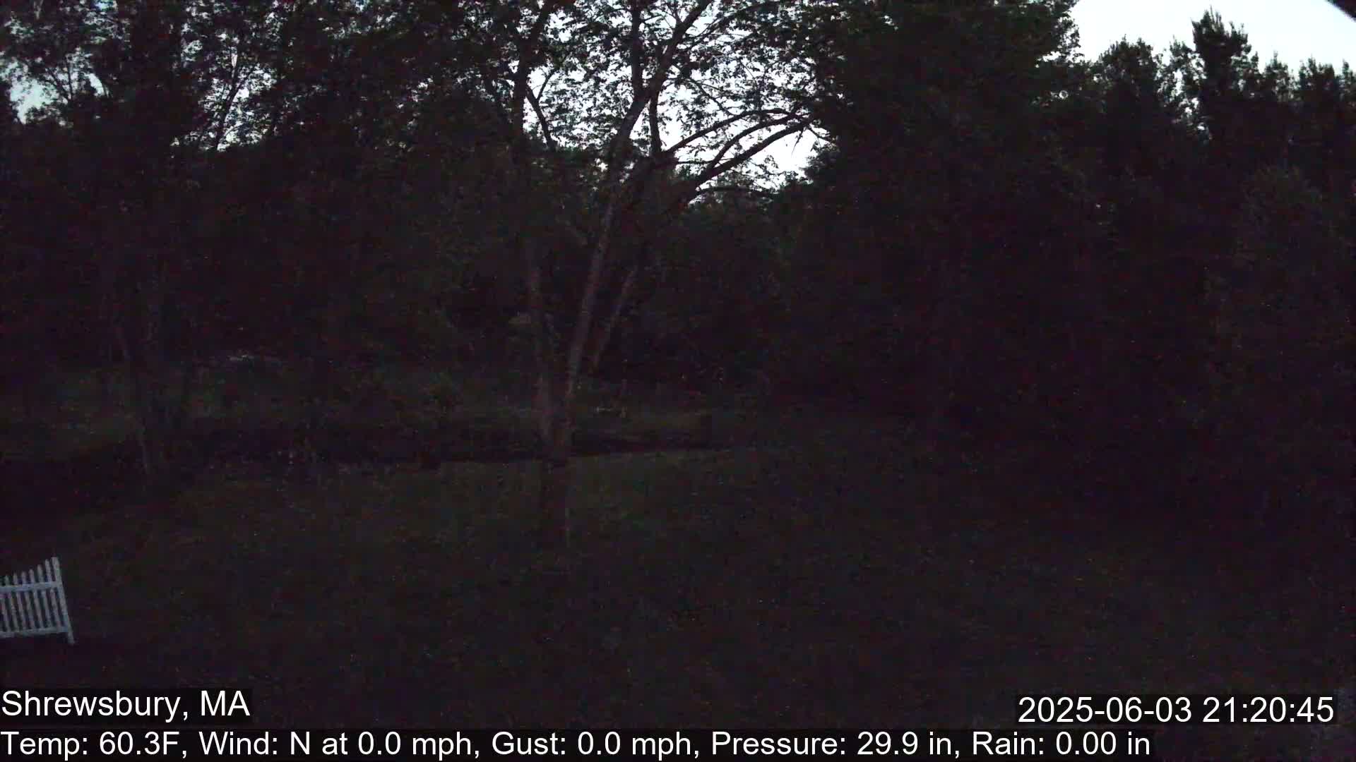 Scenic Pond and Trees Live Cam - Shrewsbury, Massachusetts , USA