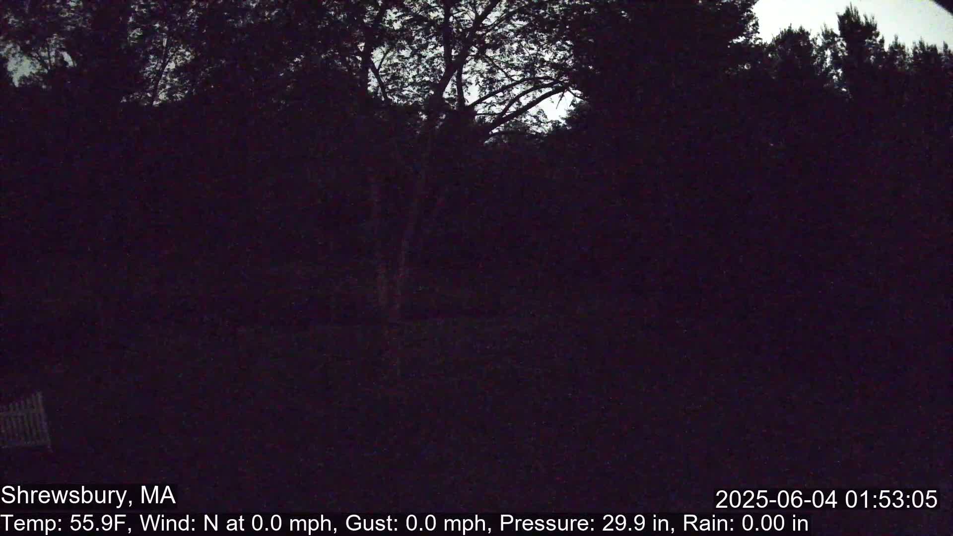 Scenic Pond and Trees Live Cam - Shrewsbury, Massachusetts , USA