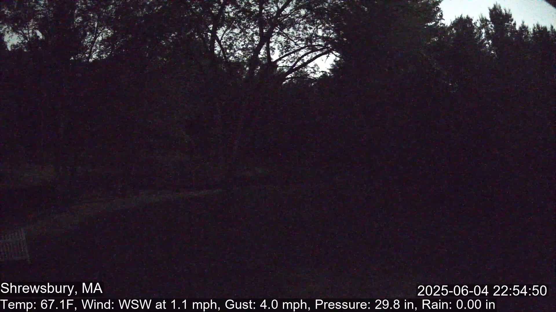 A dark, nighttime scene shows a wooded area under a mostly clear sky with a gentle wind.