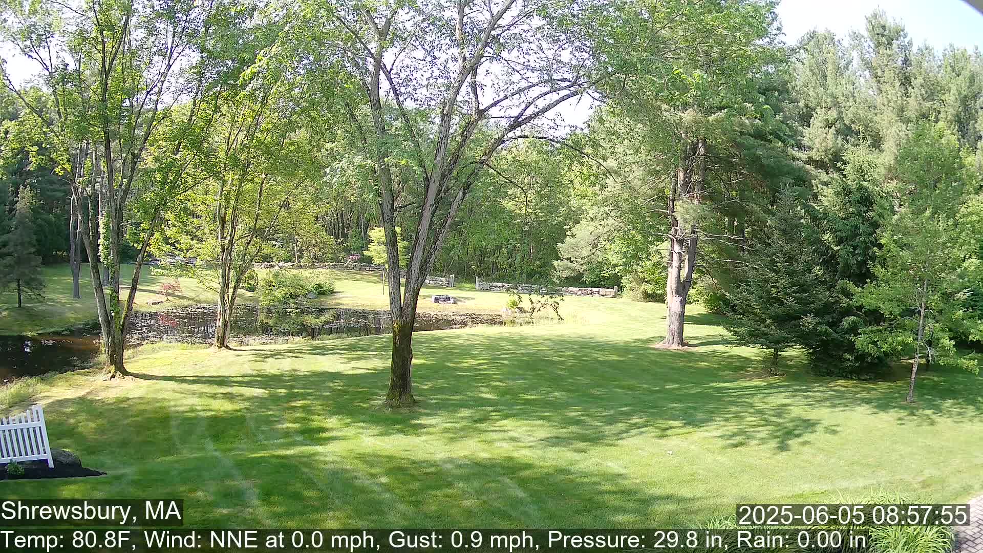 A sunny day shows a lush green lawn, several trees, a small pond, and a stone wall in a wooded area.