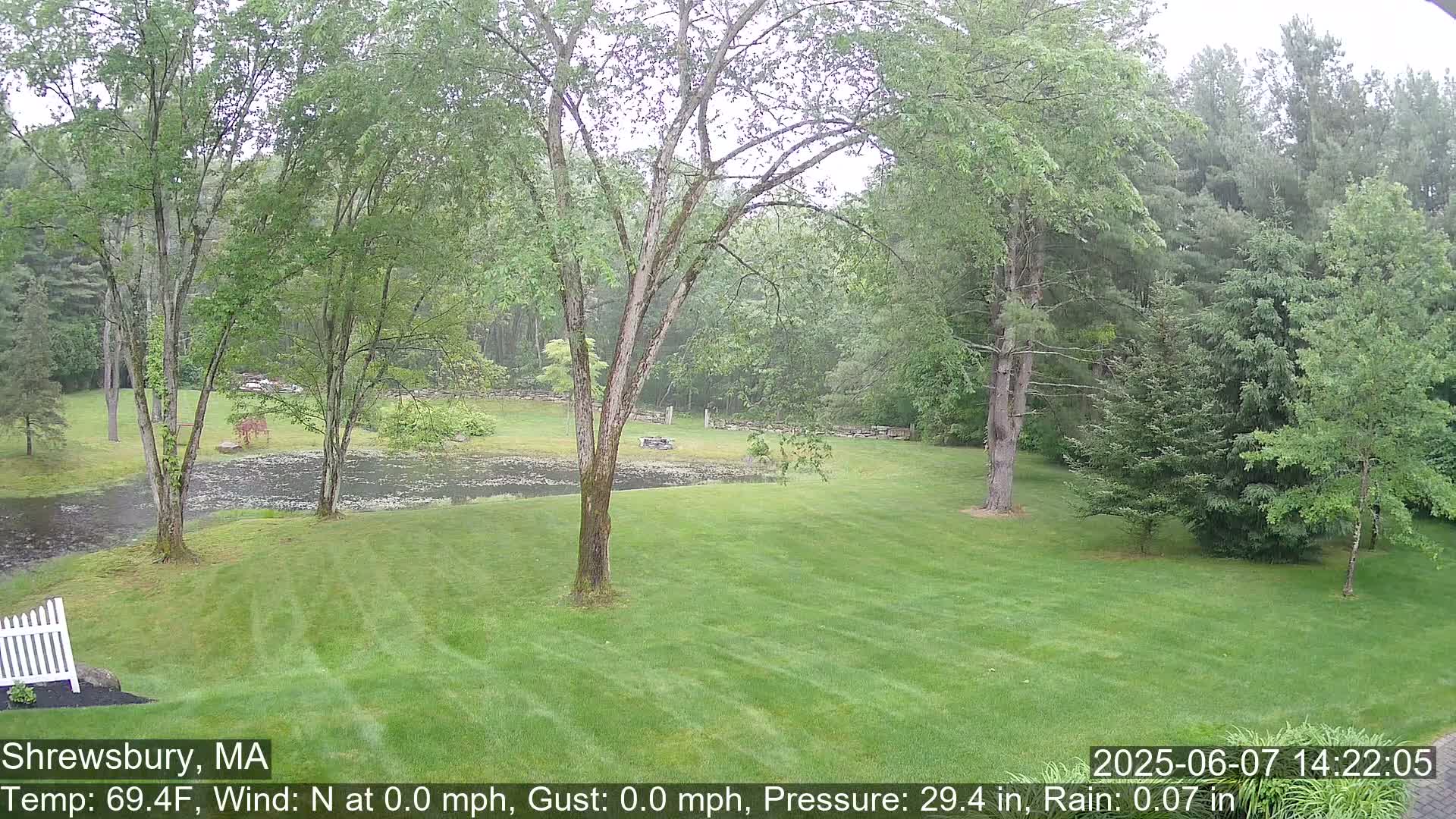 A rain-soaked lawn slopes down to a pond surrounded by lush green trees and a stone wall under a gray sky.