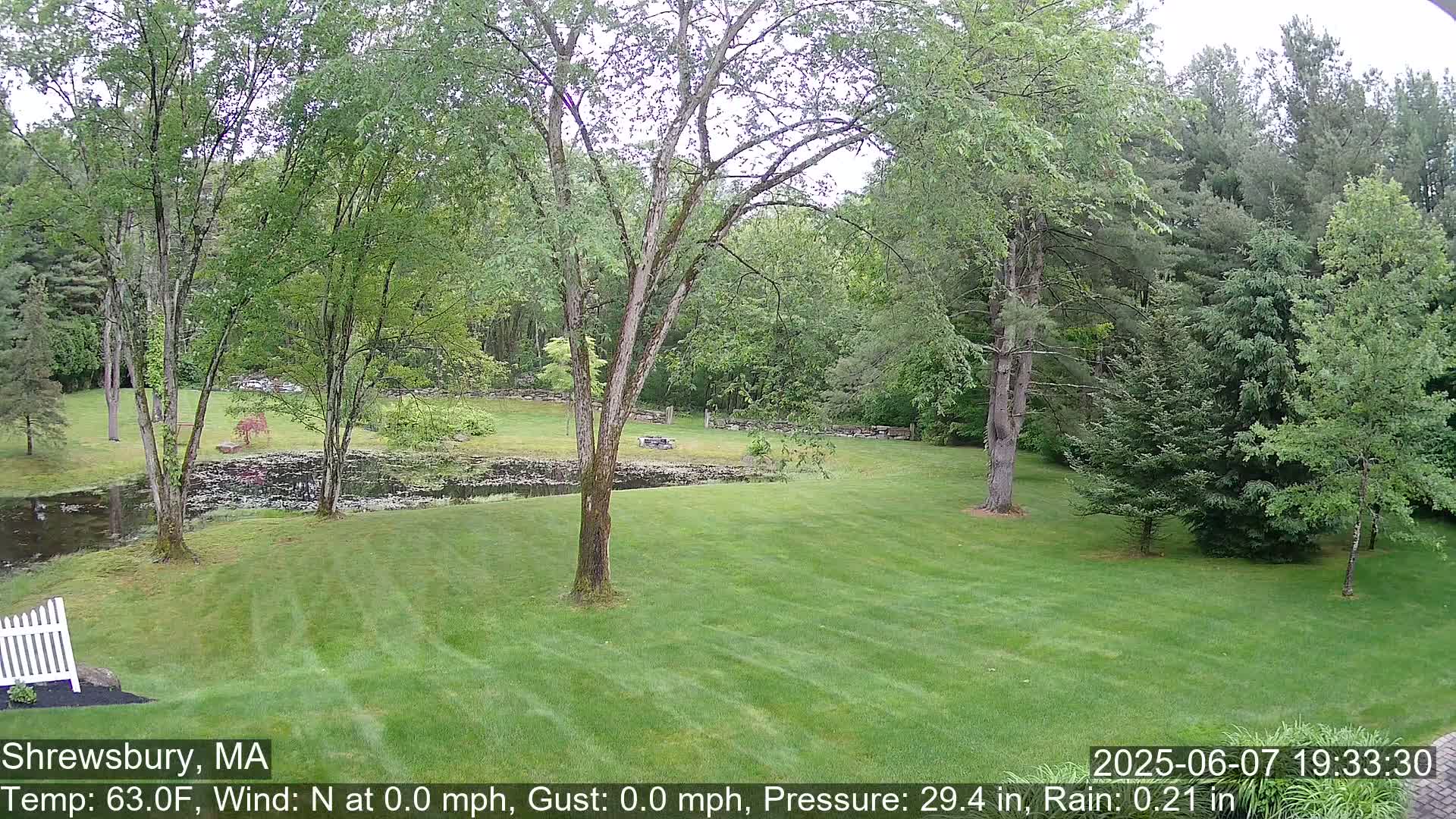 A verdant lawn, a pond, and lush green trees are visible under a slightly overcast sky, with light rain.