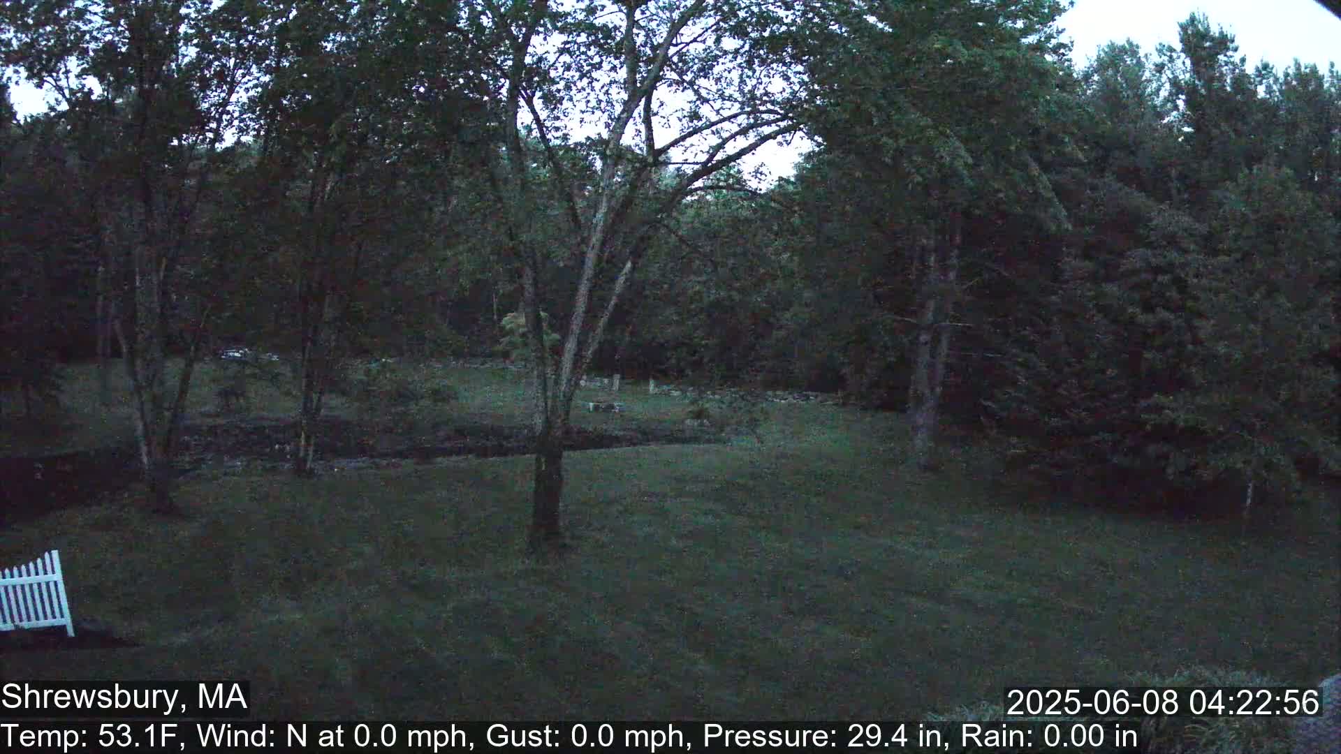 A nighttime view of a grassy yard bordered by trees, with a portion of a white picket fence visible in the bottom left corner.