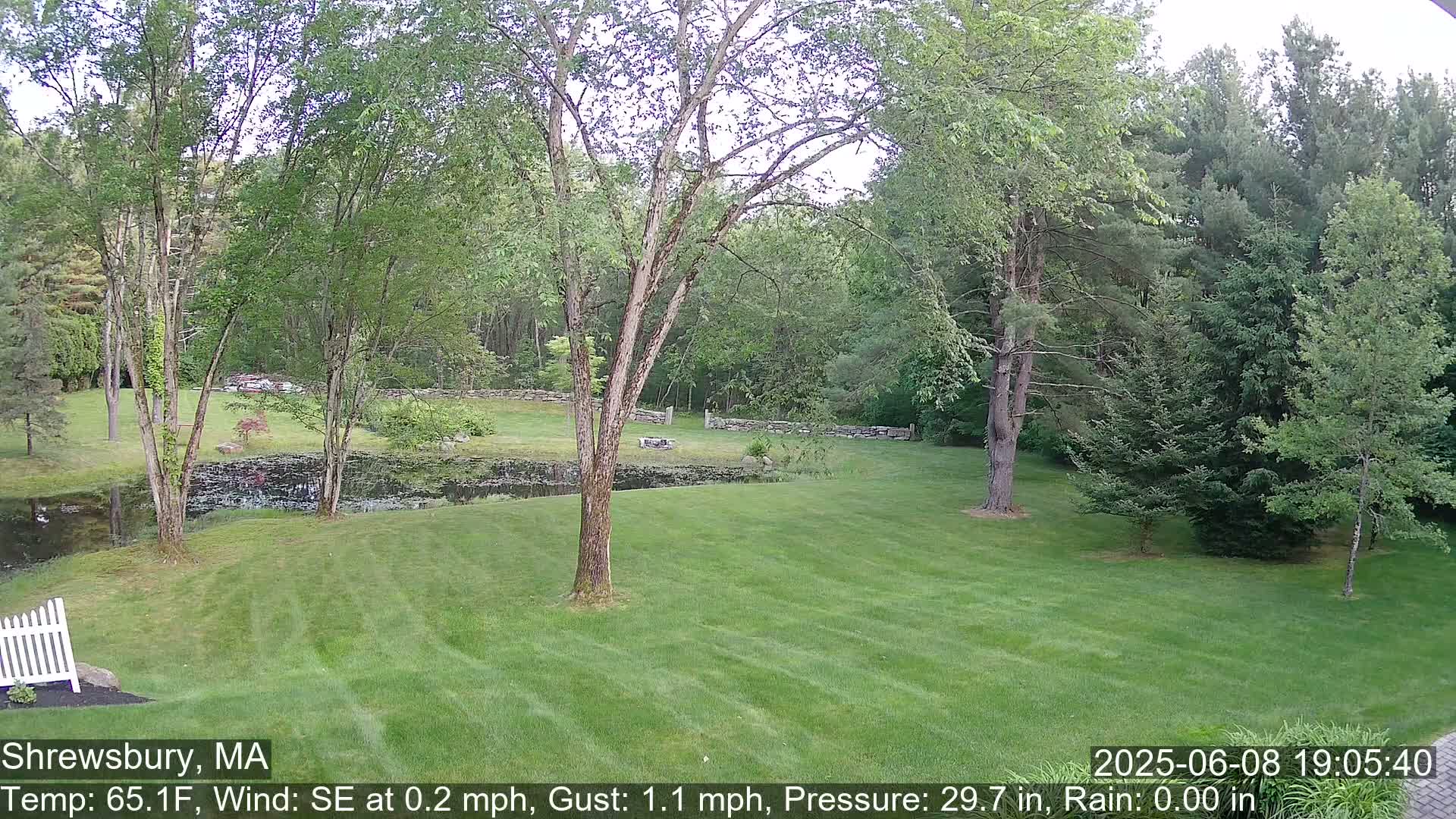 Scenic Pond and Trees Live Cam - Shrewsbury, Massachusetts , USA