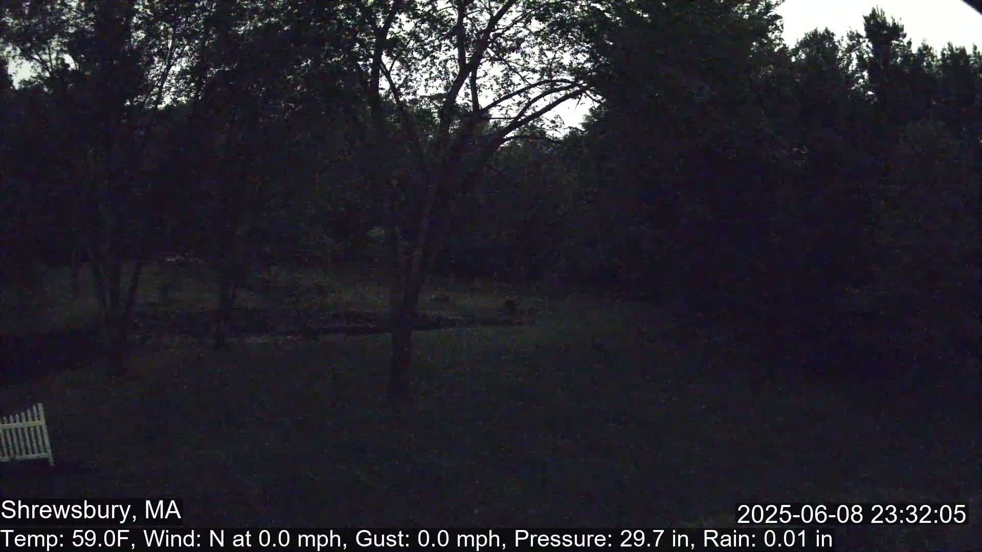 Scenic Pond and Trees Live Cam - Shrewsbury, Massachusetts , USA