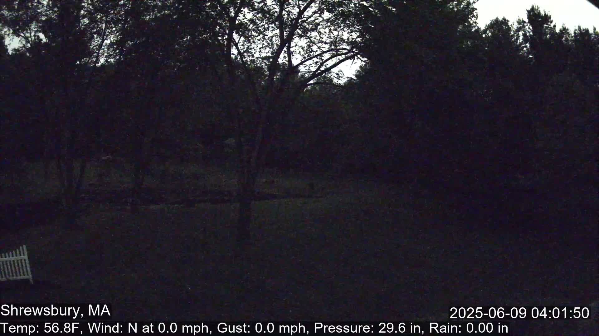 A dark, nighttime scene shows a backyard with trees and a portion of a white fence visible in the lower-left corner.
