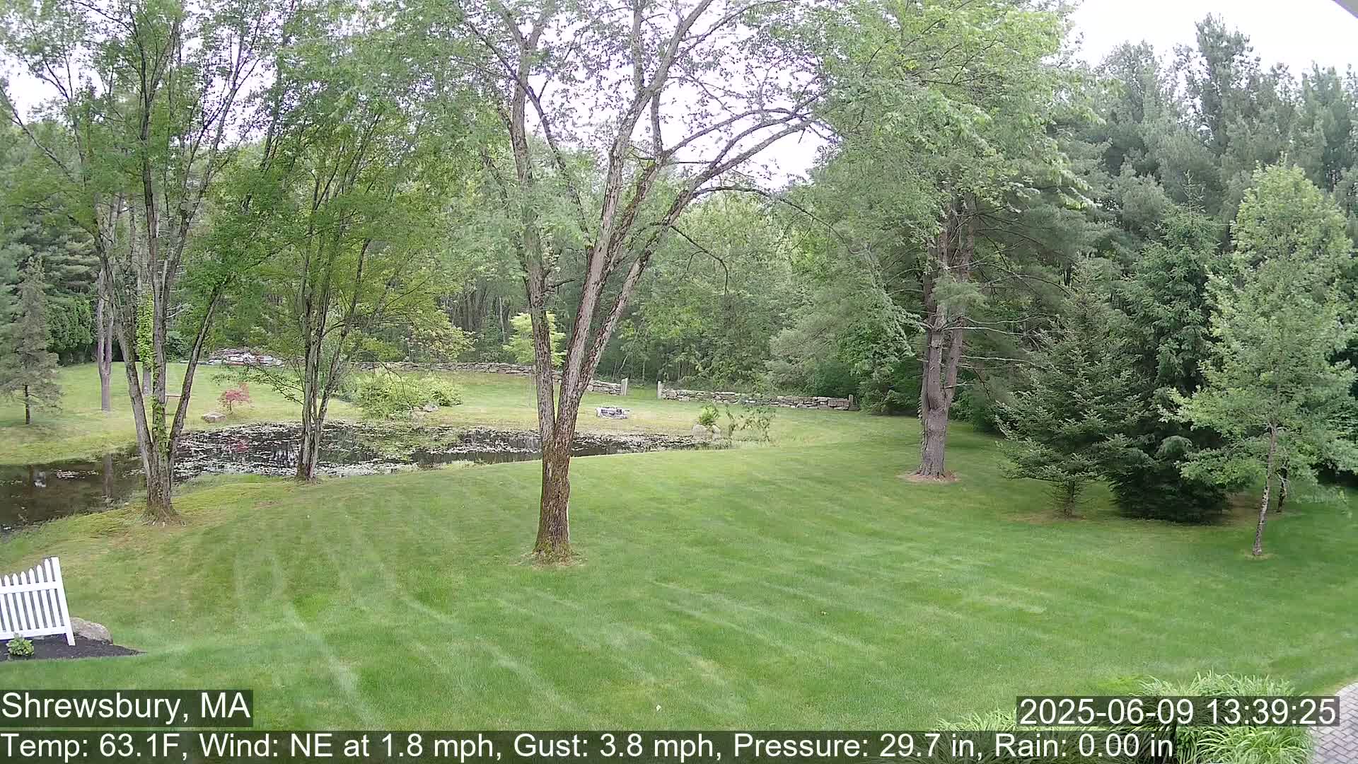 A verdant lawn stretches toward a pond and stone wall, backed by a lush green forest under a cloudy sky.