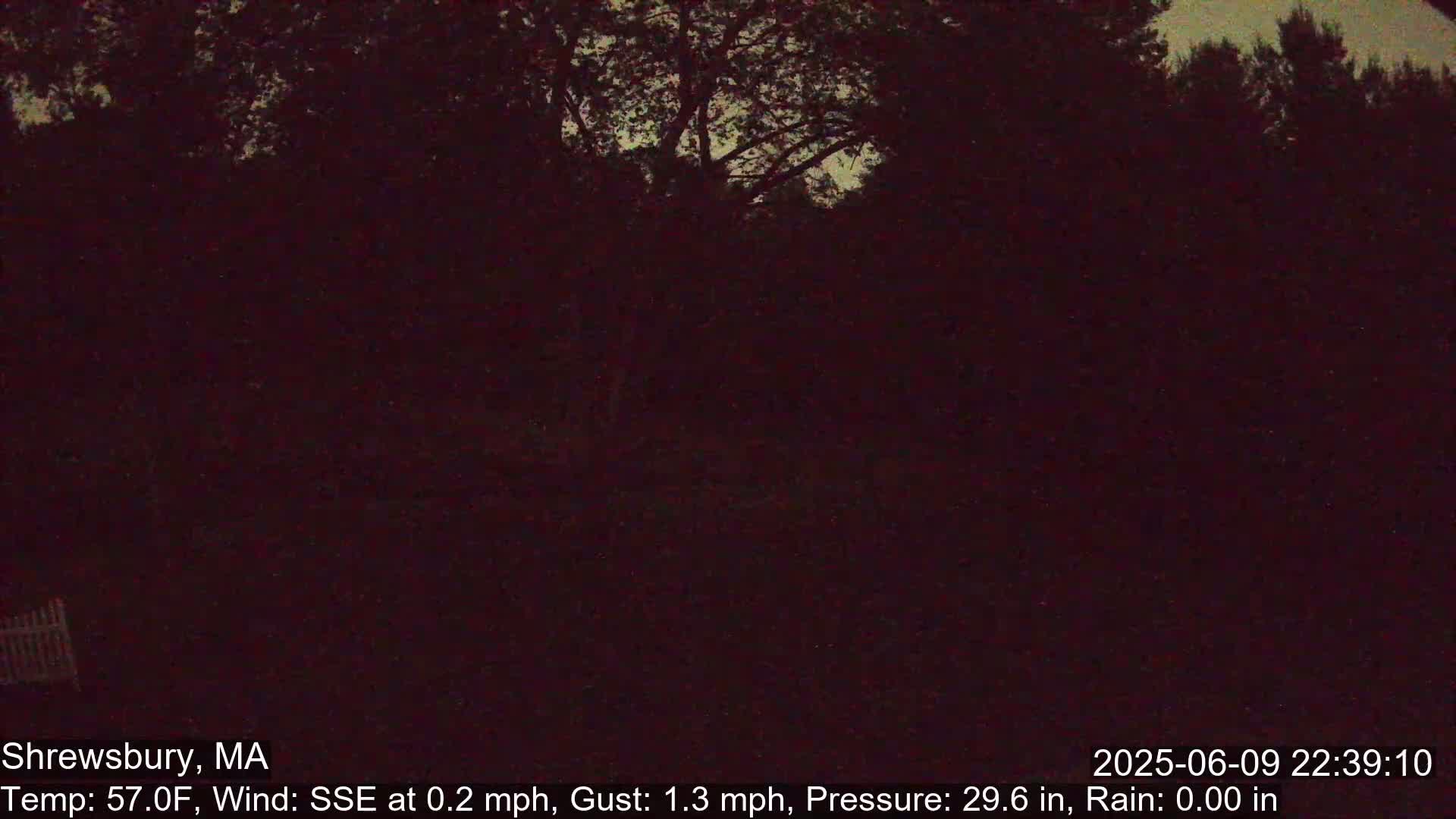 Scenic Pond and Trees Live Cam - Shrewsbury, Massachusetts , USA