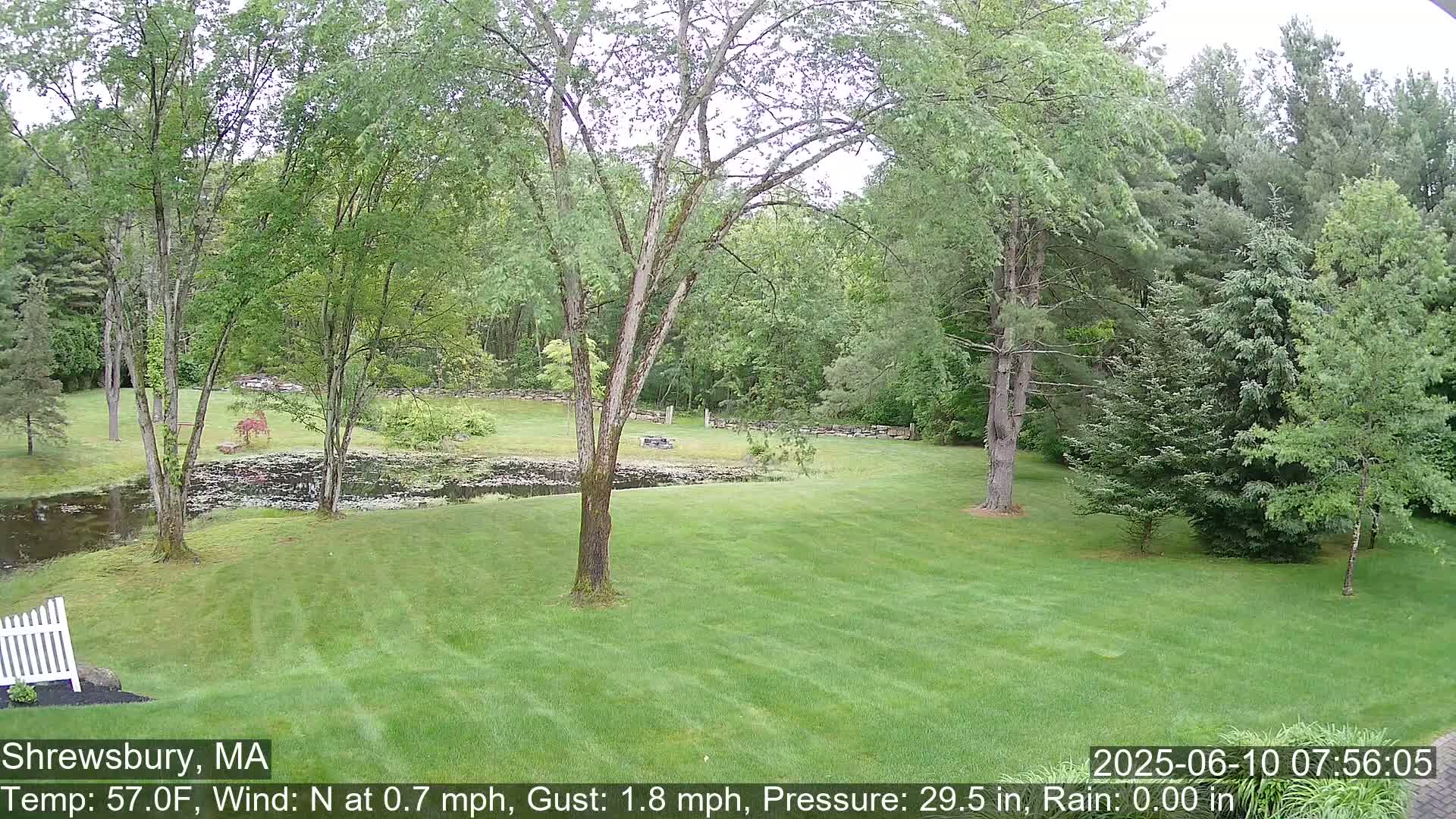 A verdant lawn stretches before a small pond, bordered by lush green trees under an overcast sky.