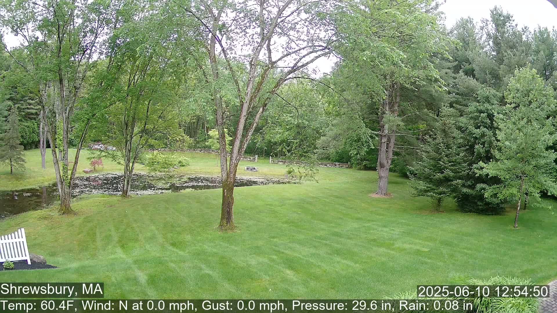A verdant lawn stretches towards a tranquil pond partially covered with lily pads, all surrounded by lush green trees under a lightly overcast sky.
