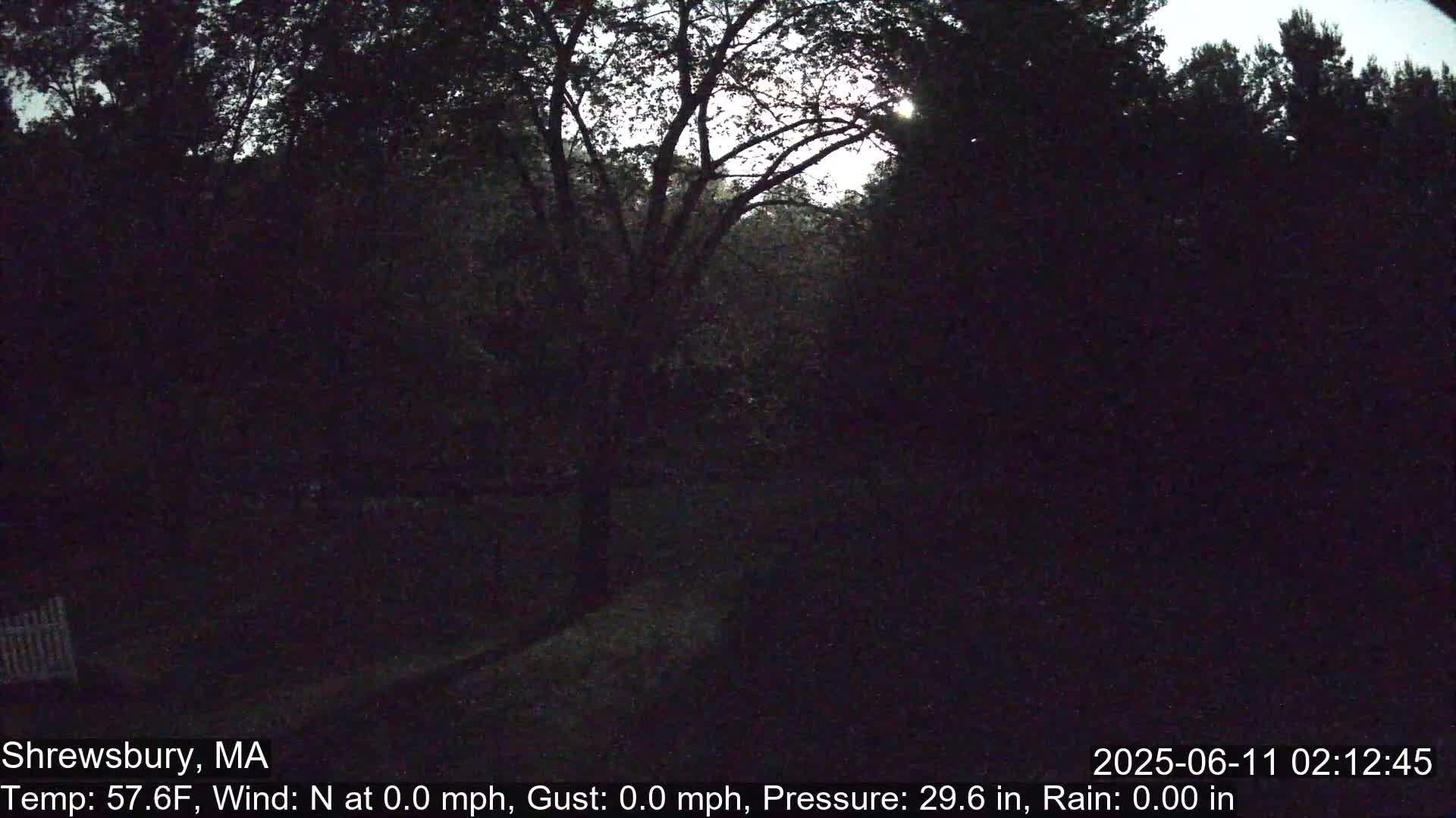 Scenic Pond and Trees Live Cam - Shrewsbury, Massachusetts , USA