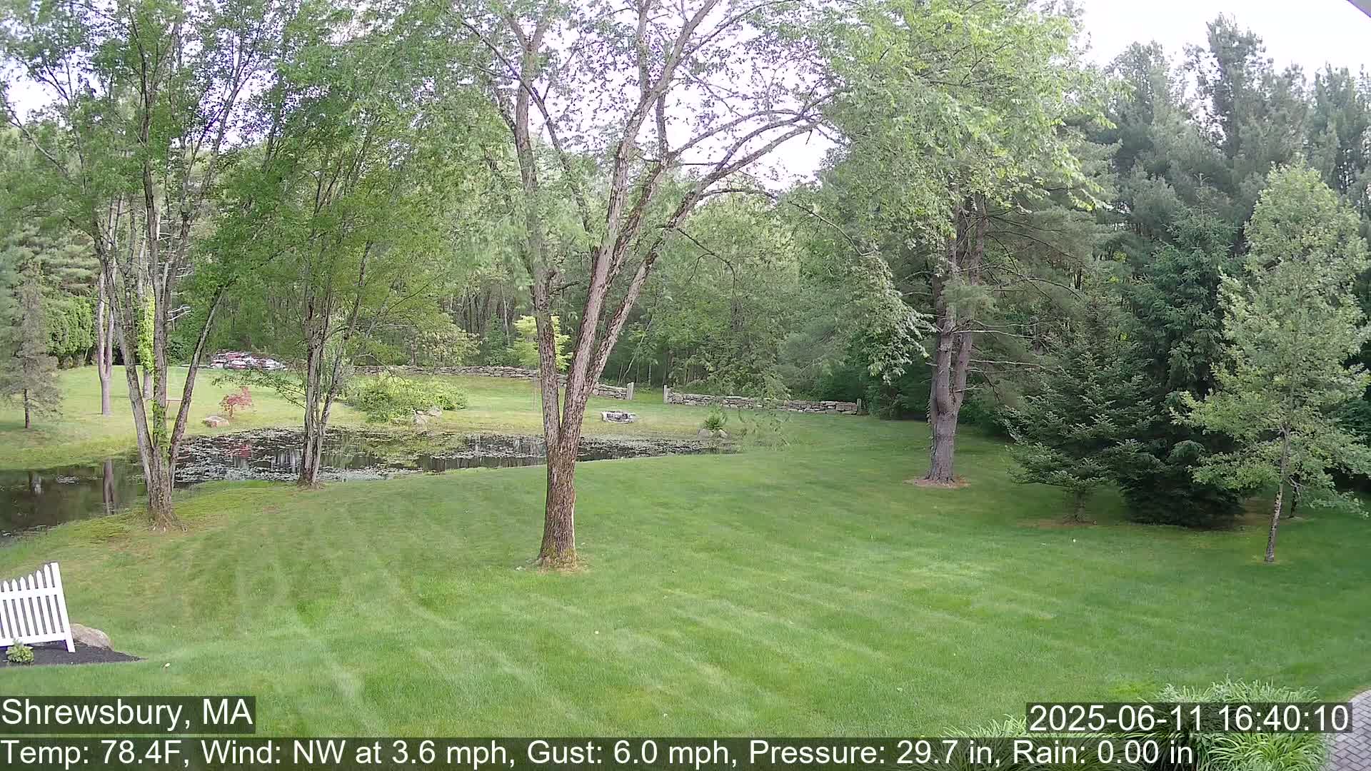 Scenic Pond and Trees Live Cam - Shrewsbury, Massachusetts , USA