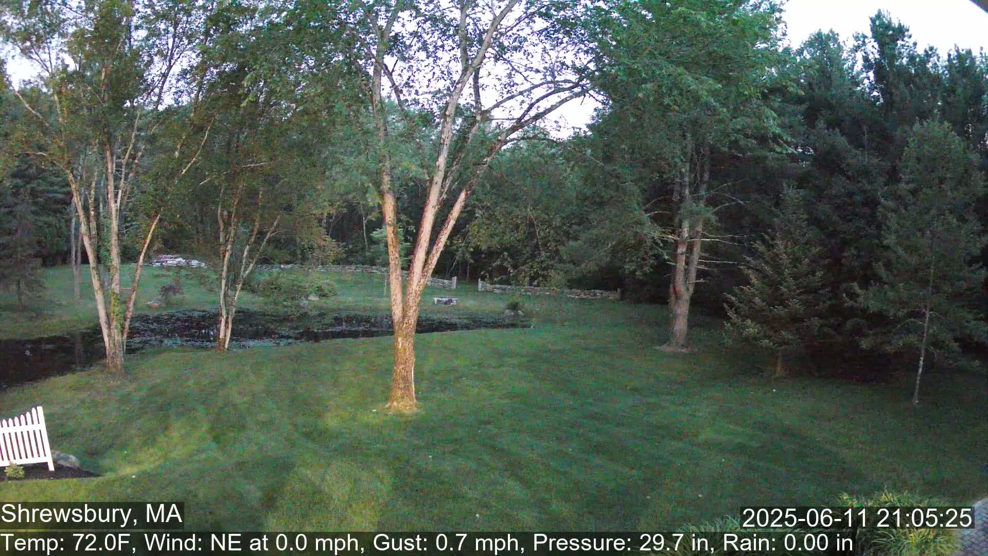 Scenic Pond and Trees Live Cam - Shrewsbury, Massachusetts , USA