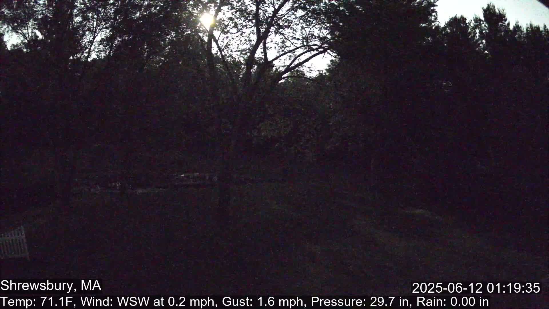Scenic Pond and Trees Live Cam - Shrewsbury, Massachusetts , USA