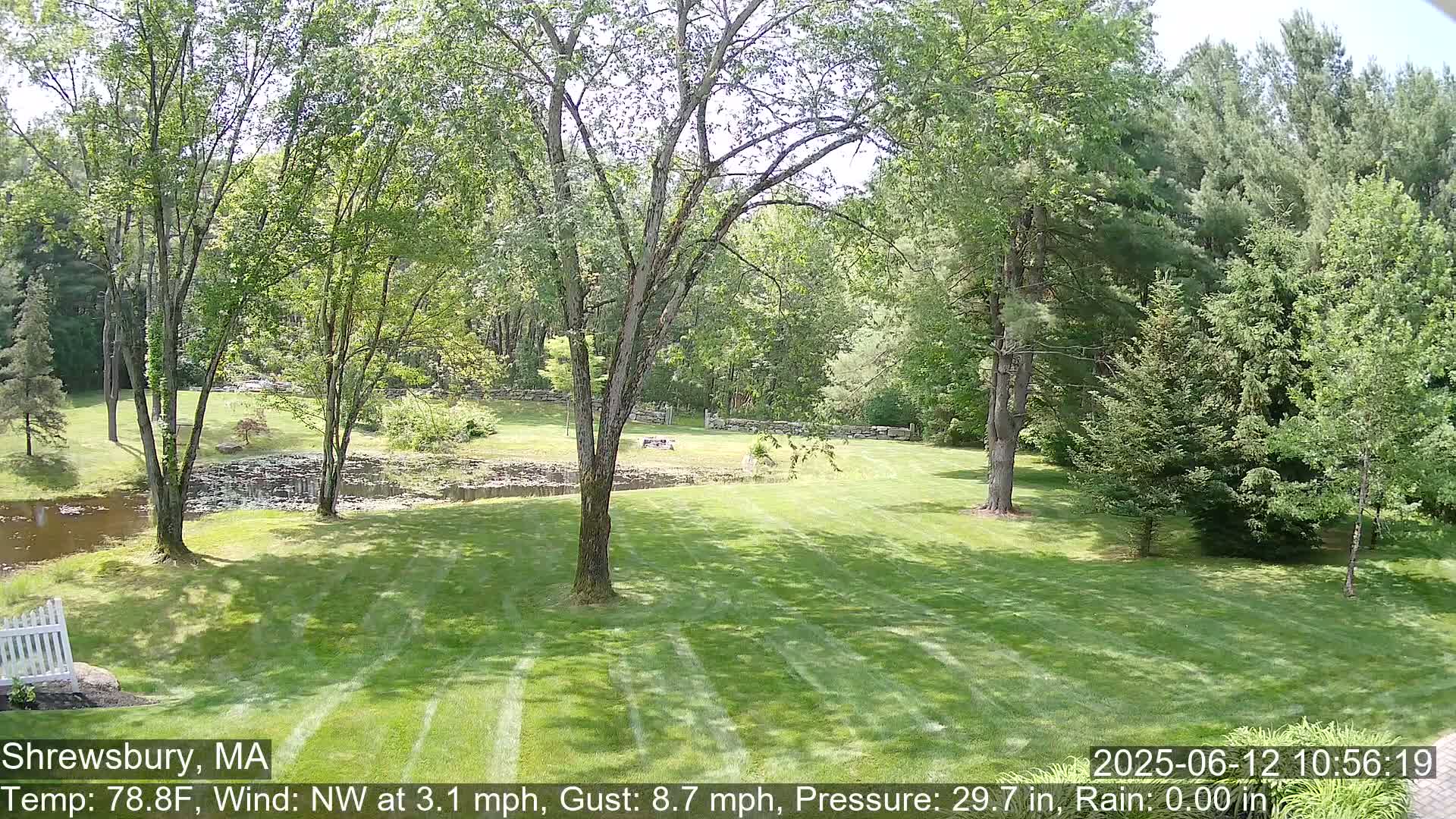 A well-maintained lawn with a pond and lush green trees under sunny skies.