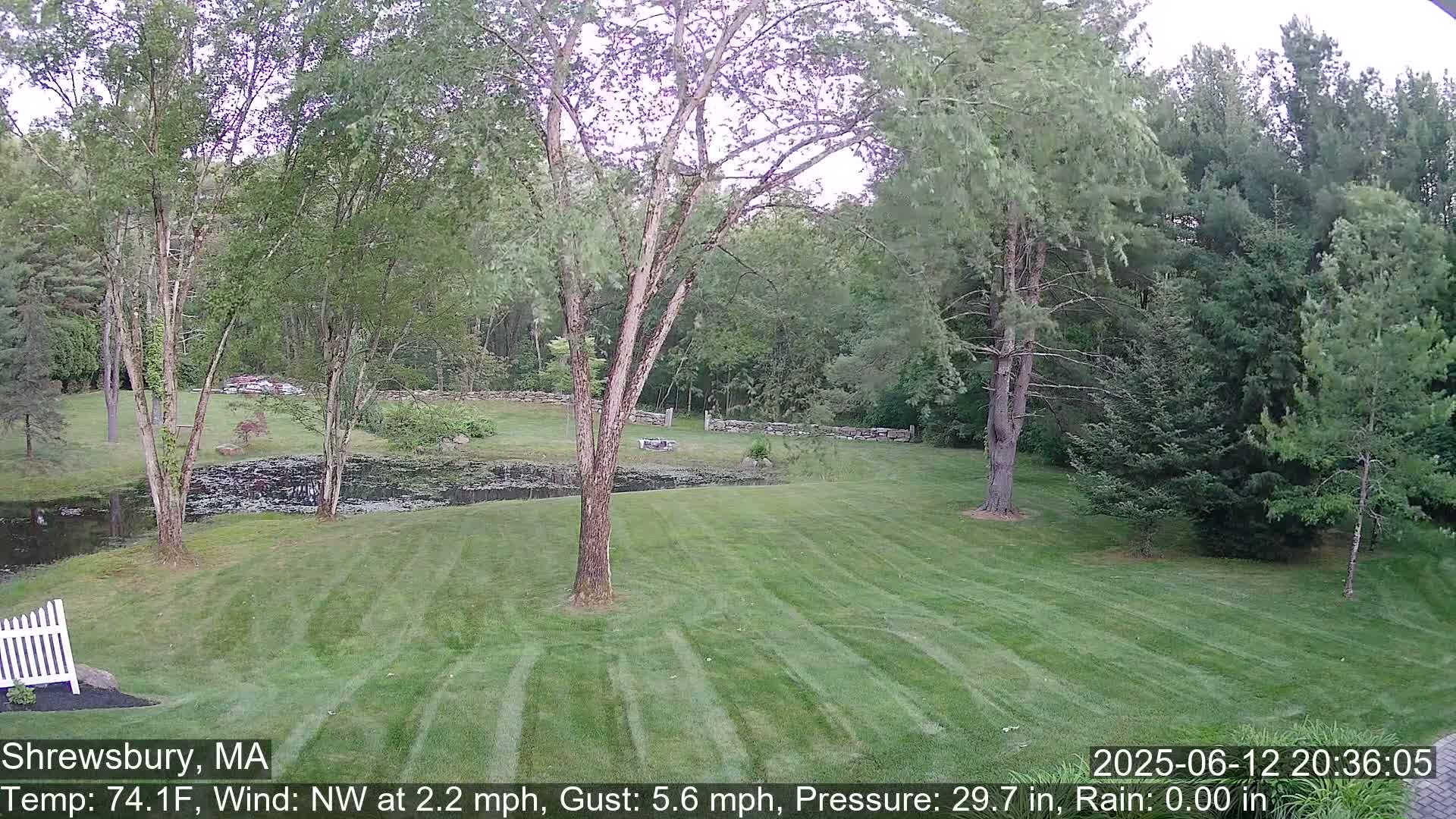 Scenic Pond and Trees Live Cam - Shrewsbury, Massachusetts , USA