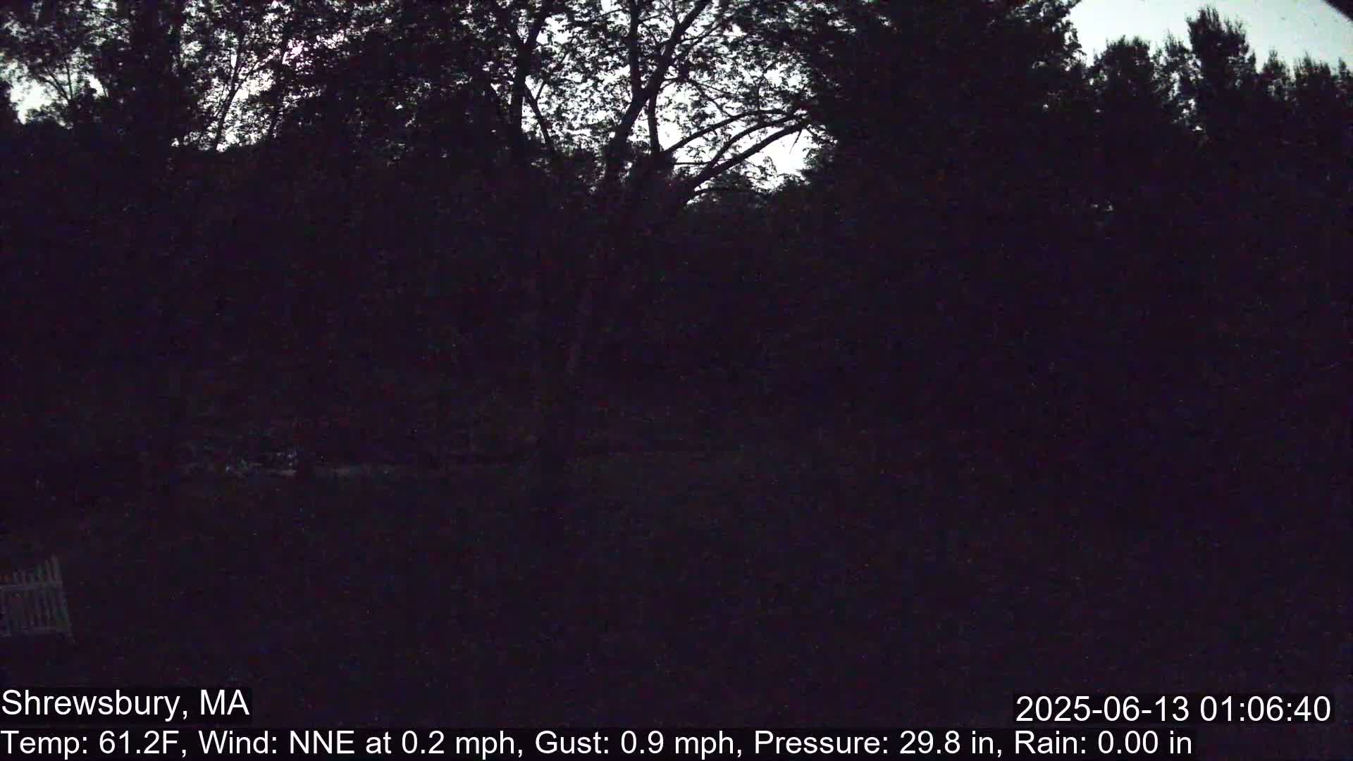 Scenic Pond and Trees Live Cam - Shrewsbury, Massachusetts , USA