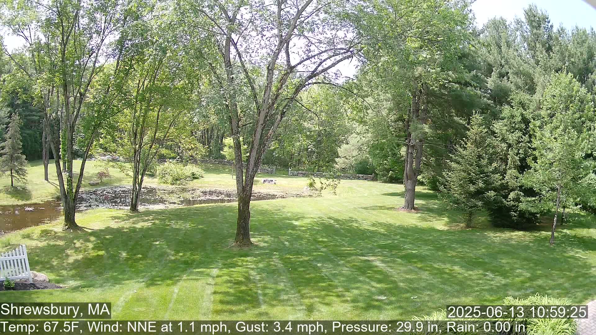 A sunny, grassy lawn stretches out to a small pond and a line of trees under a mostly clear sky.