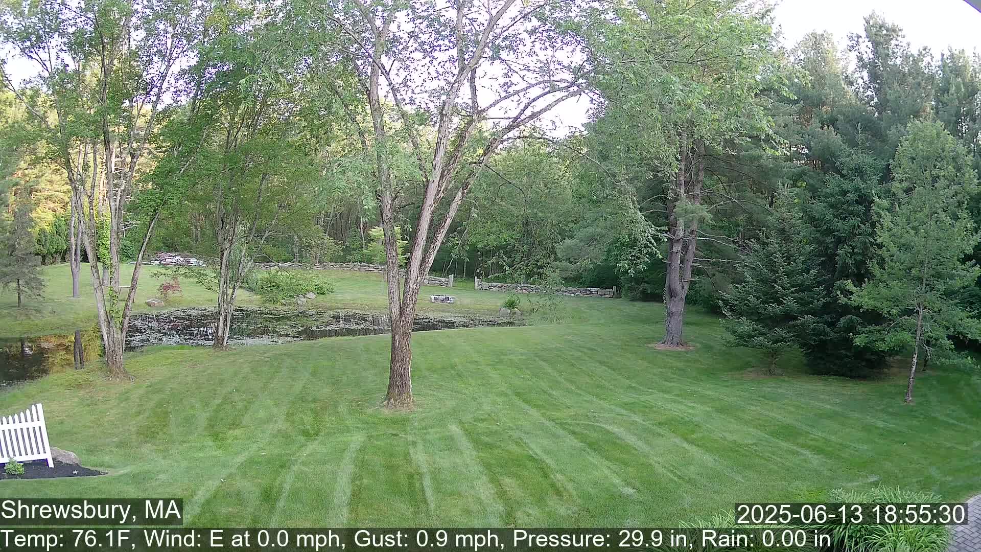 Scenic Pond and Trees Live Cam - Shrewsbury, Massachusetts , USA