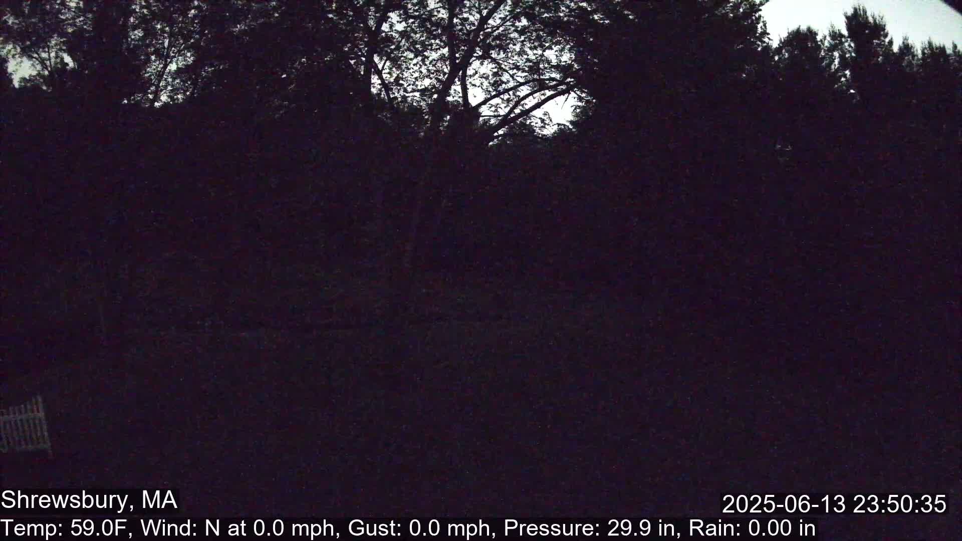 Scenic Pond and Trees Live Cam - Shrewsbury, Massachusetts , USA