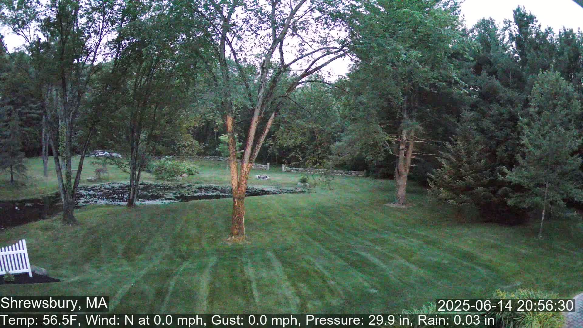 Scenic Pond and Trees Live Cam - Shrewsbury, Massachusetts , USA