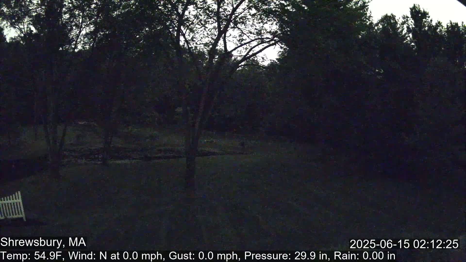 Scenic Pond and Trees Live Cam - Shrewsbury, Massachusetts , USA