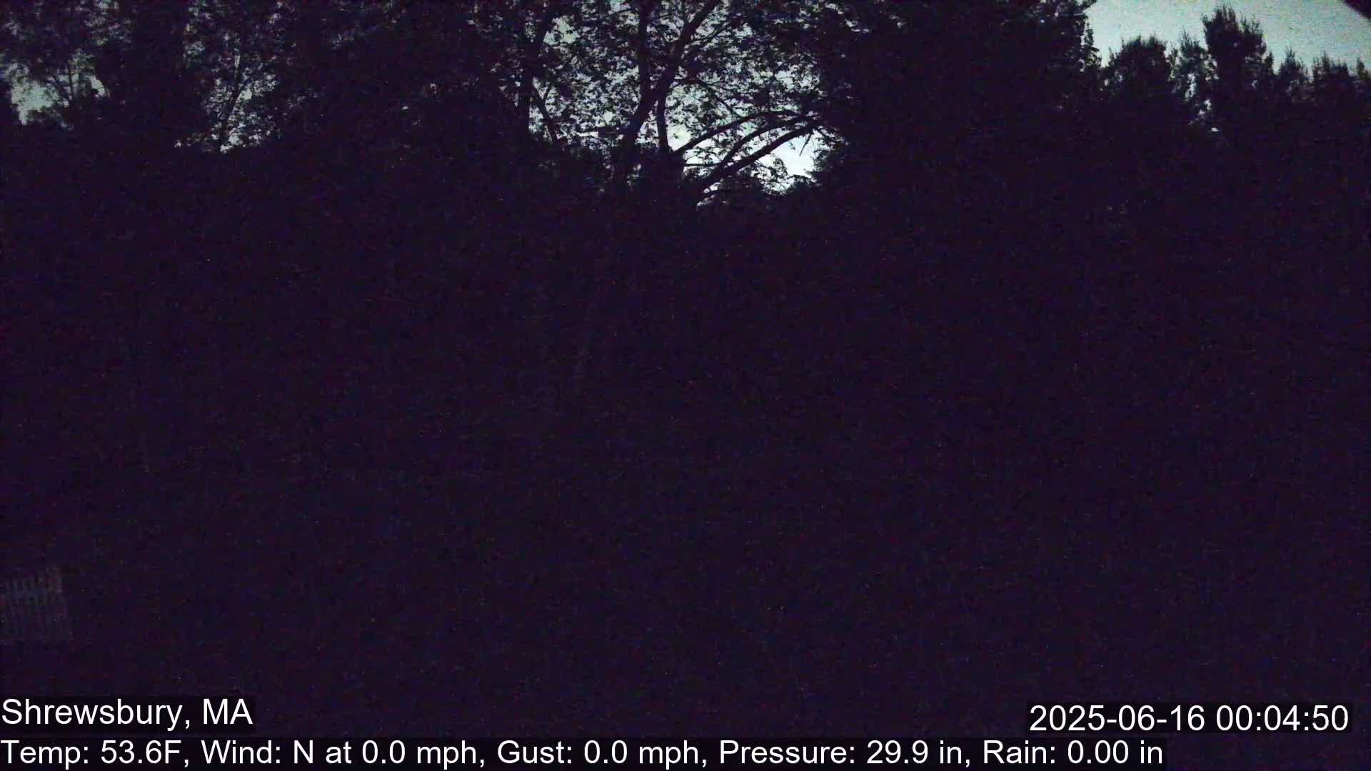 Scenic Pond and Trees Live Cam - Shrewsbury, Massachusetts , USA