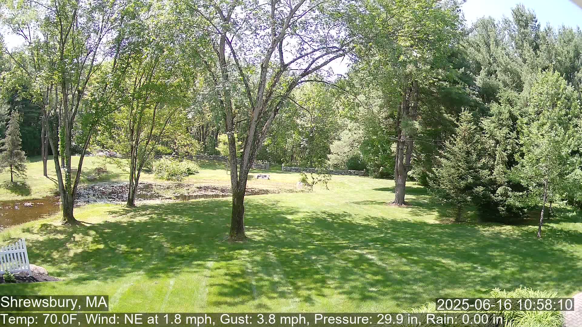 A sunny day shows a grassy yard with several trees, a small pond, and a white picket fence.