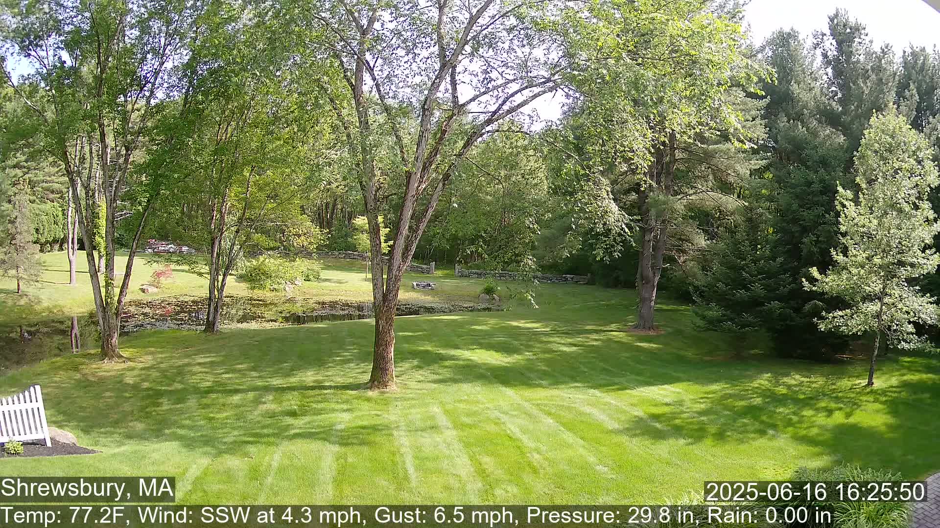 Scenic Pond and Trees Live Cam - Shrewsbury, Massachusetts , USA