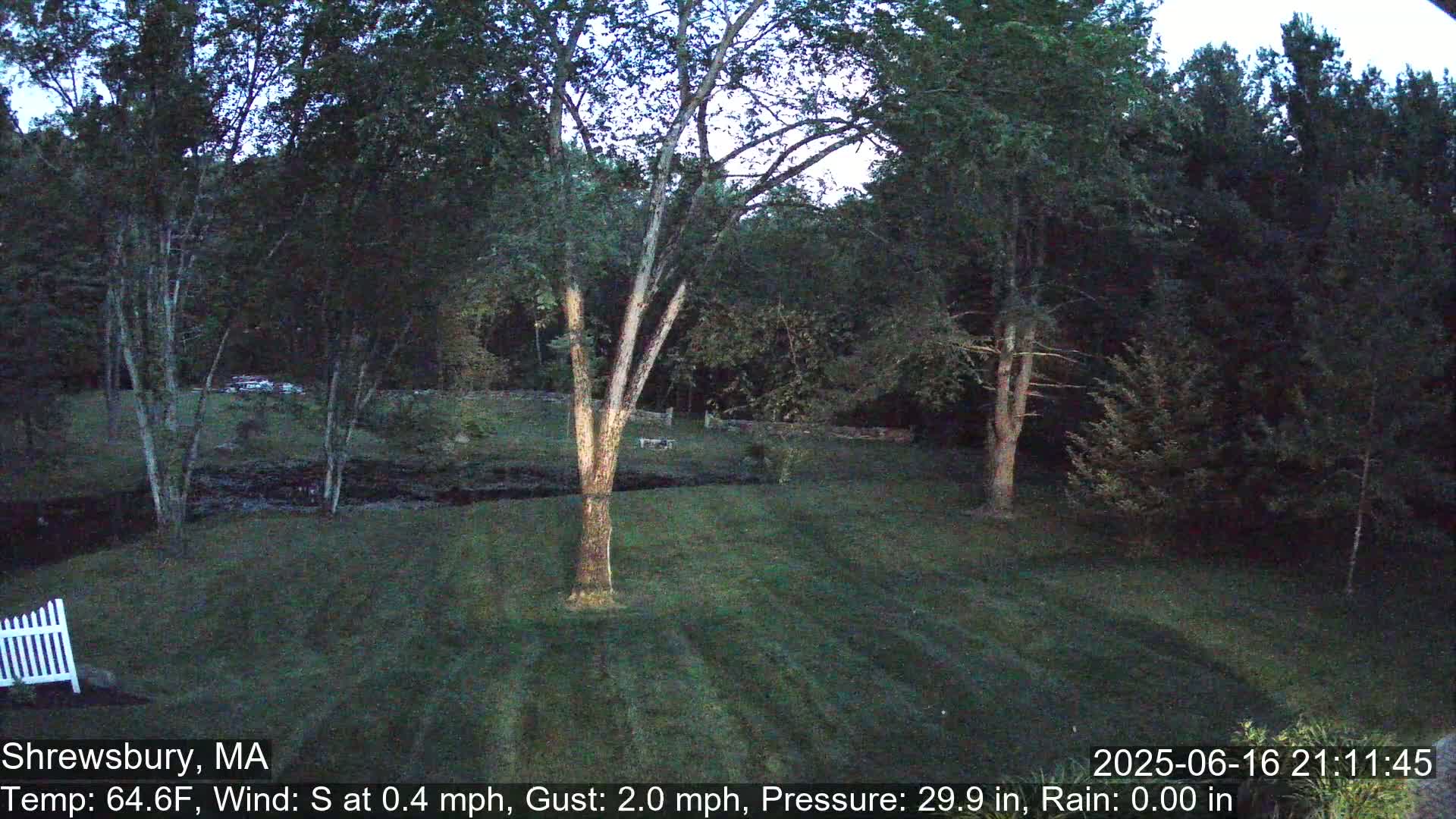 Scenic Pond and Trees Live Cam - Shrewsbury, Massachusetts , USA