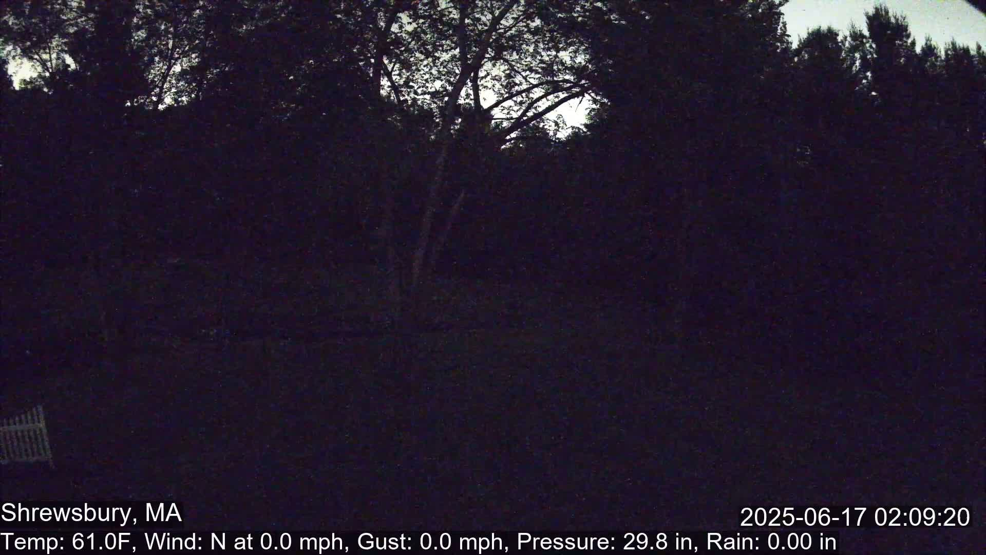 Scenic Pond and Trees Live Cam - Shrewsbury, Massachusetts , USA