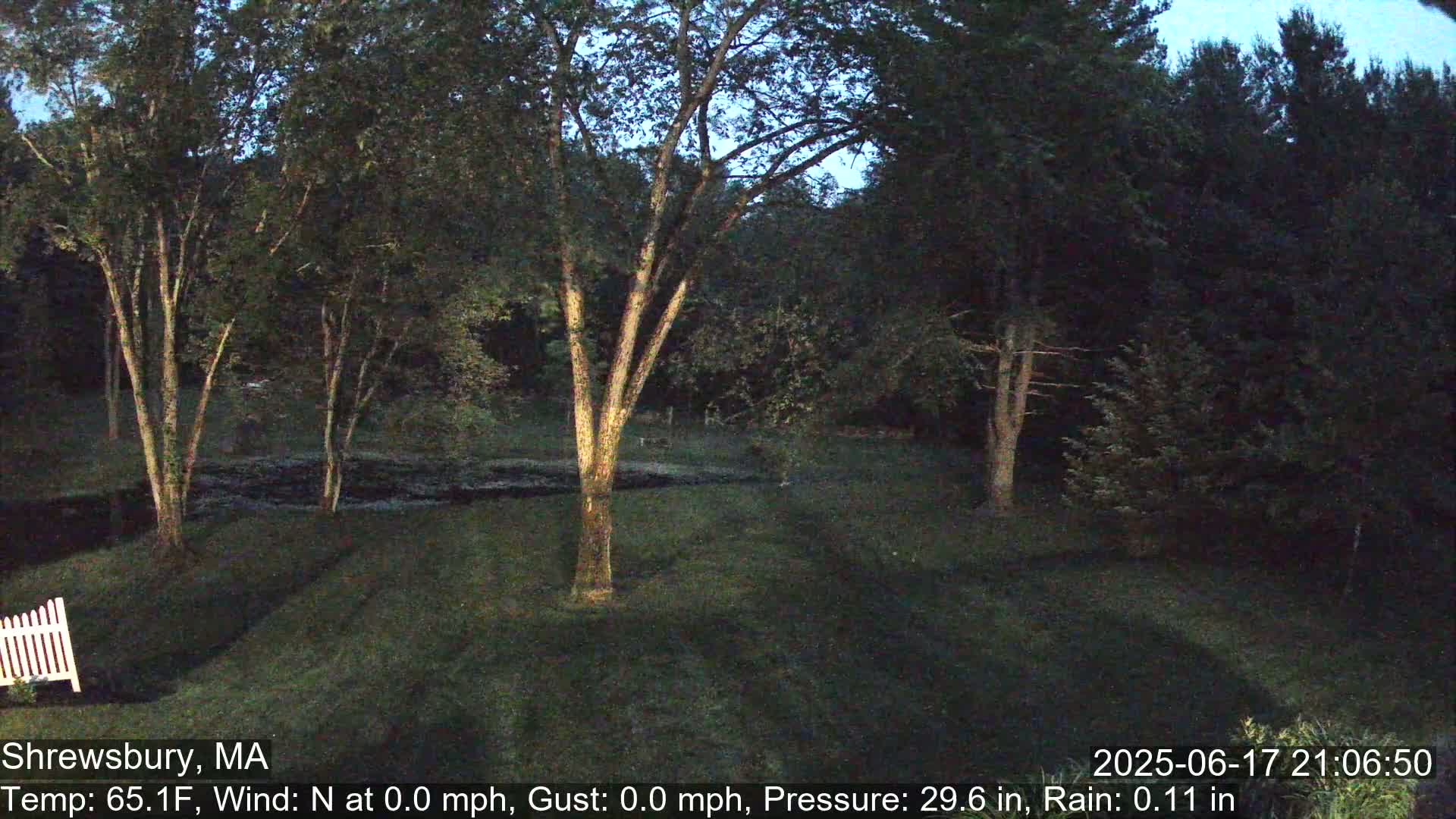 Scenic Pond and Trees Live Cam - Shrewsbury, Massachusetts , USA