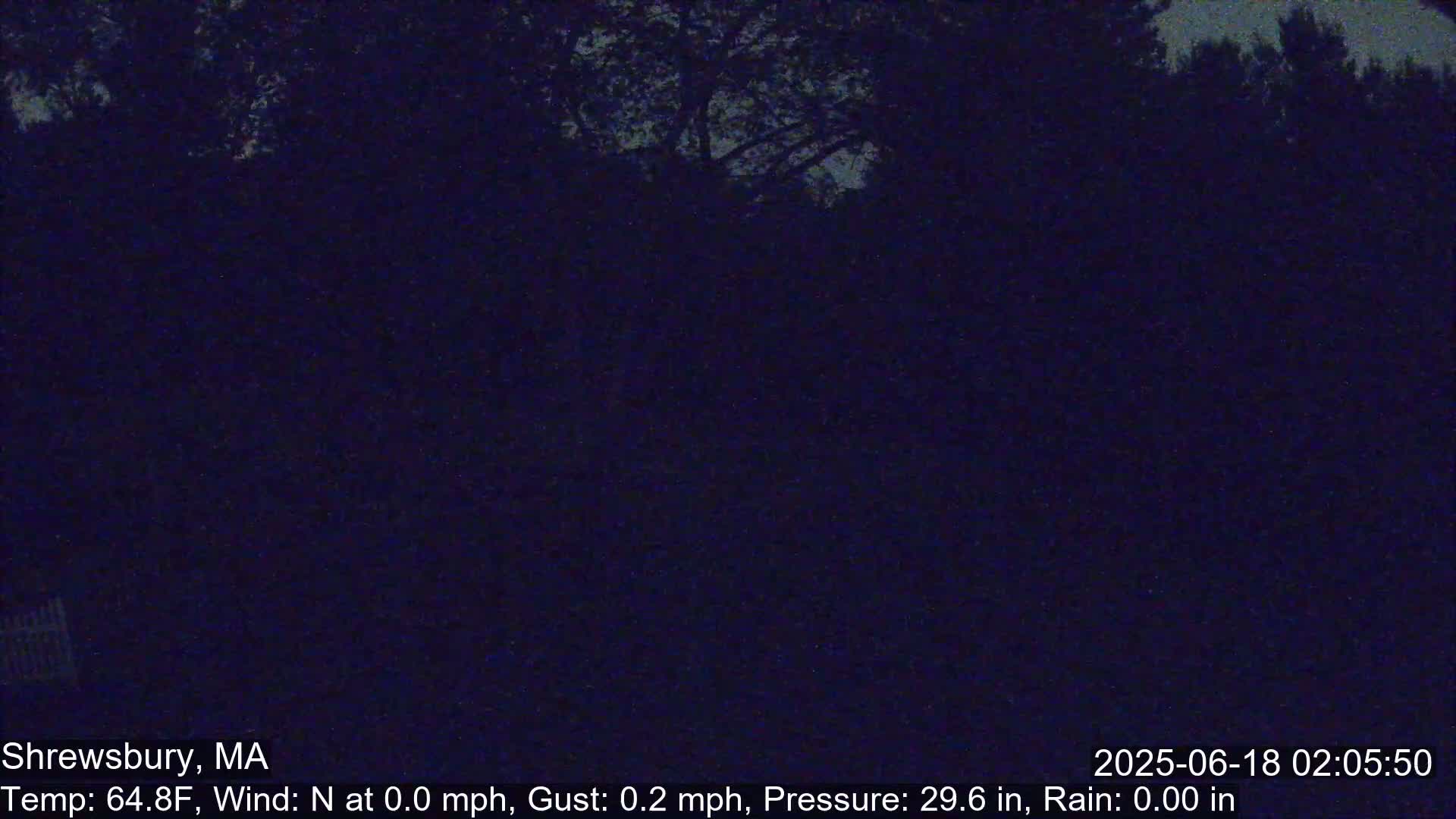 Scenic Pond and Trees Live Cam - Shrewsbury, Massachusetts , USA