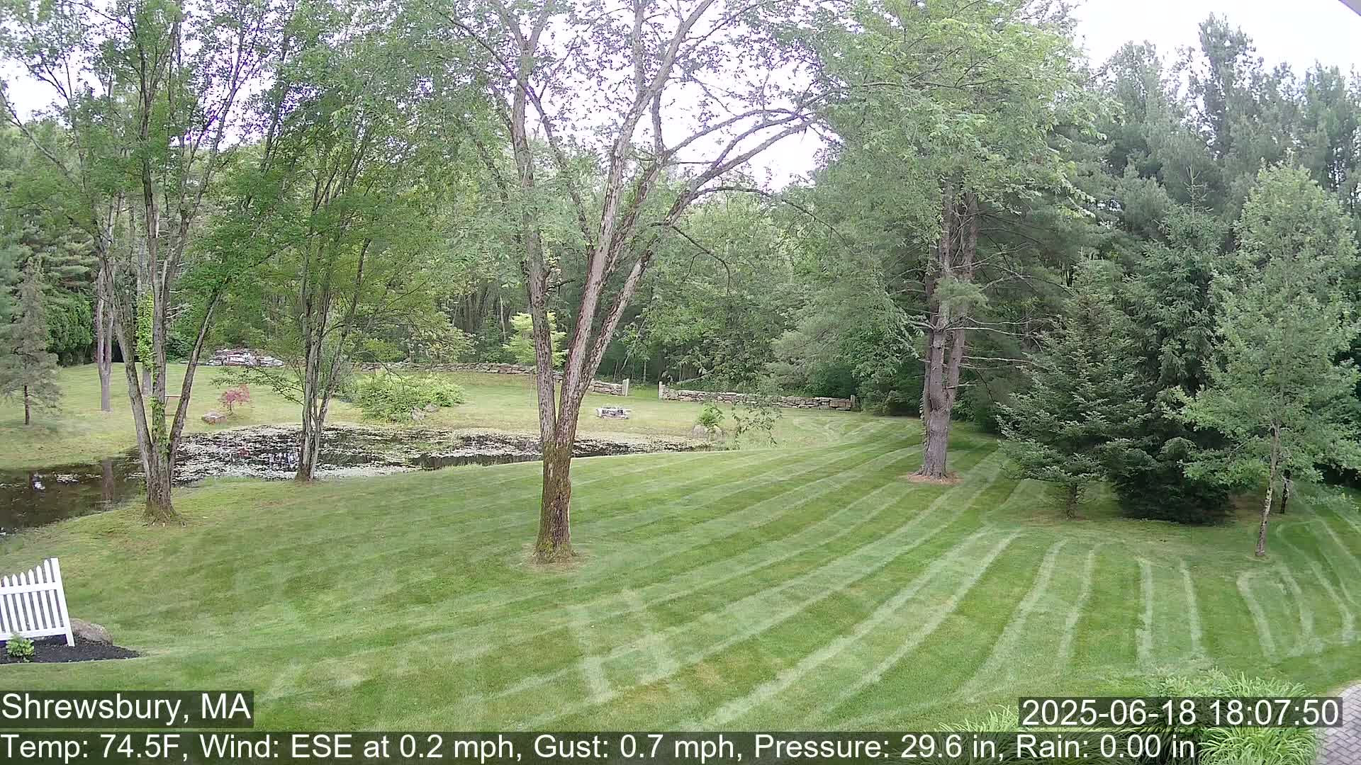 Scenic Pond and Trees Live Cam - Shrewsbury, Massachusetts , USA